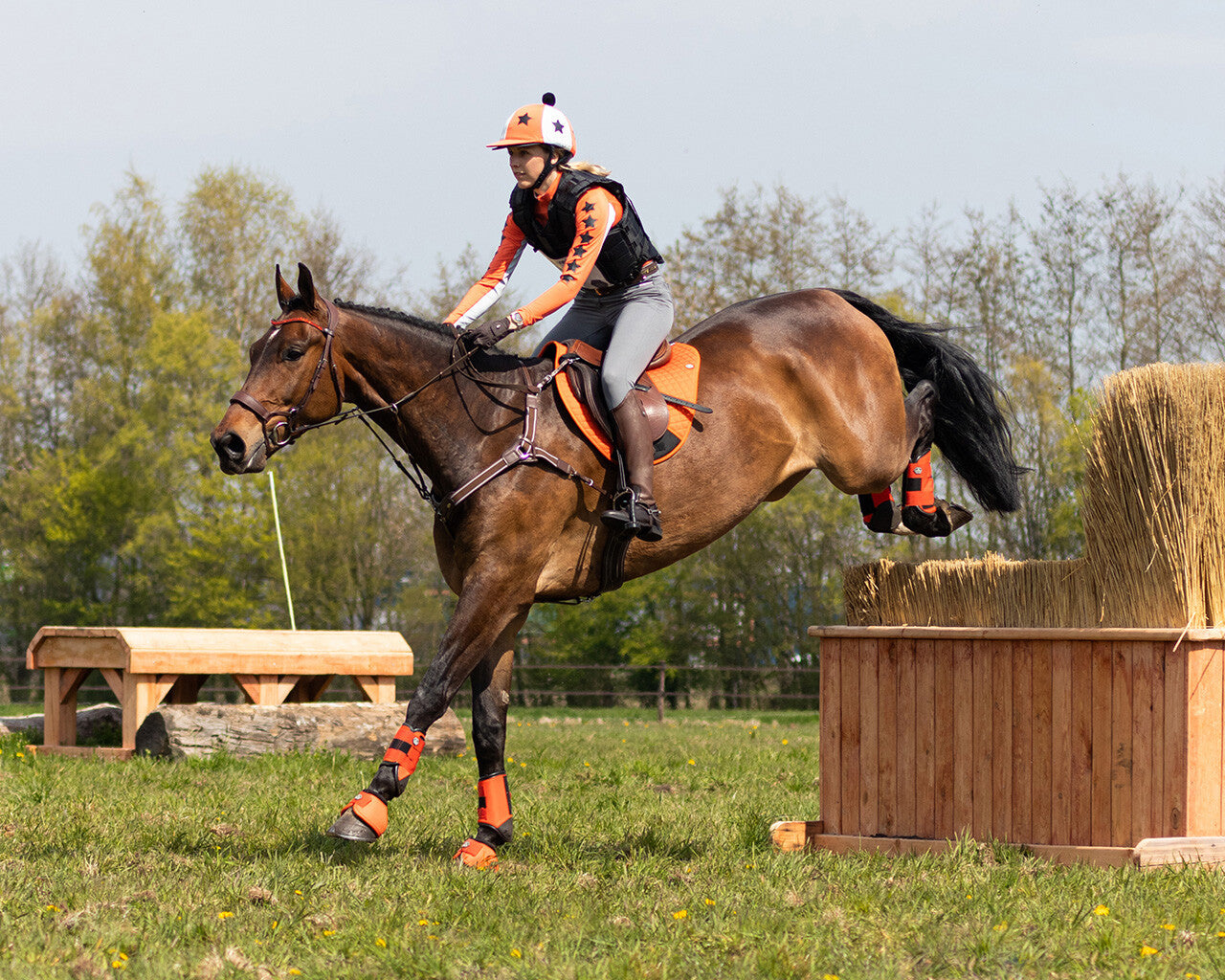 saddle pad vegas