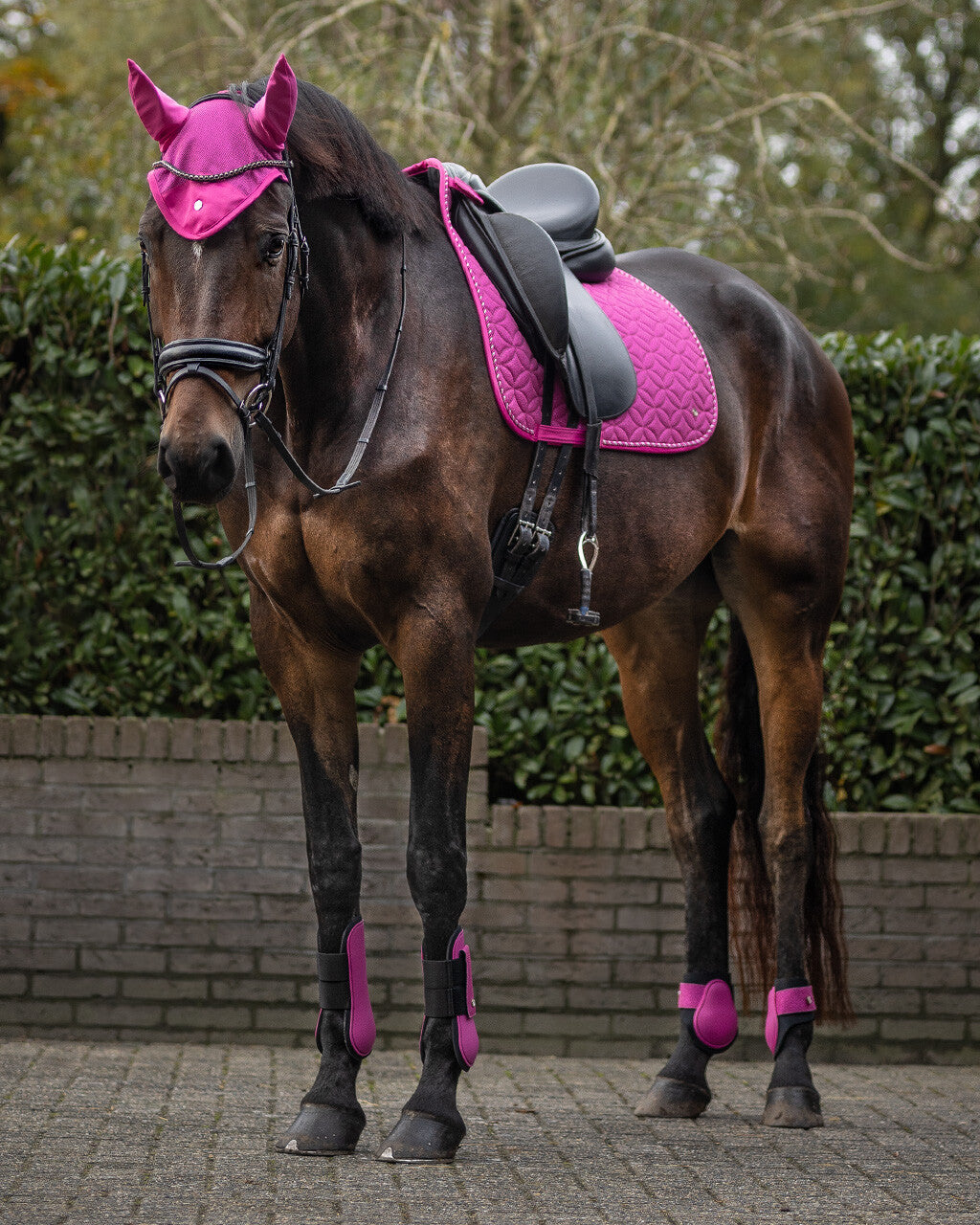 saddle pad rio