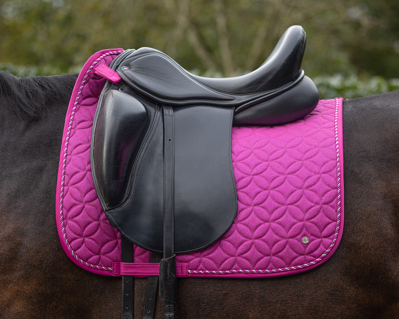 saddle pad rio