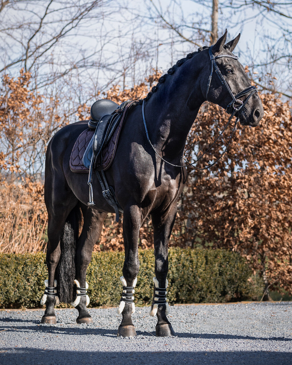 saddle pad classy