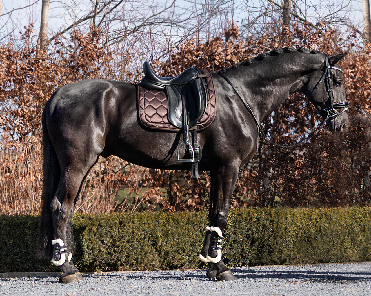 saddle pad classy