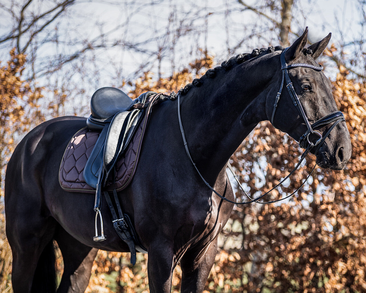 saddle pad classy