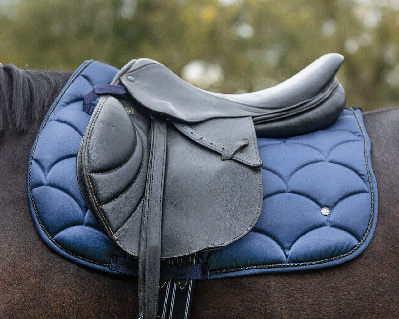 saddle pad jorine