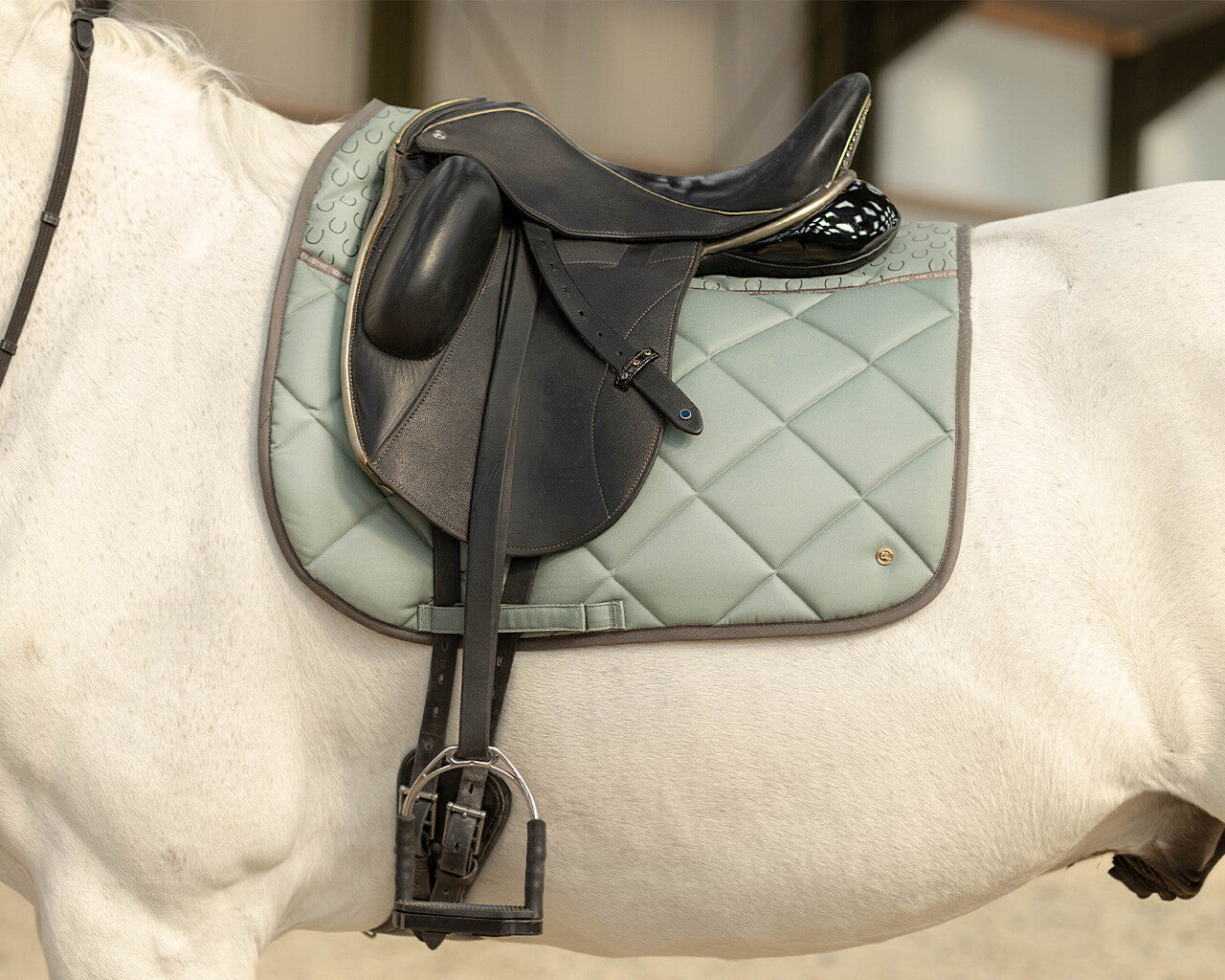 saddle pad equestrian dream