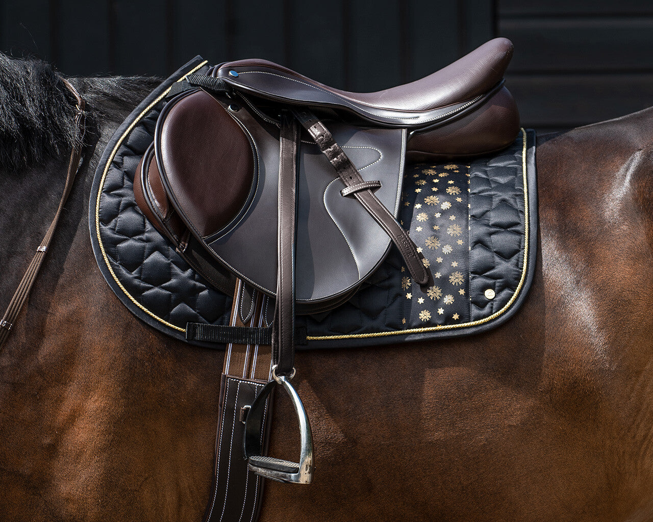 saddle pad celebrate