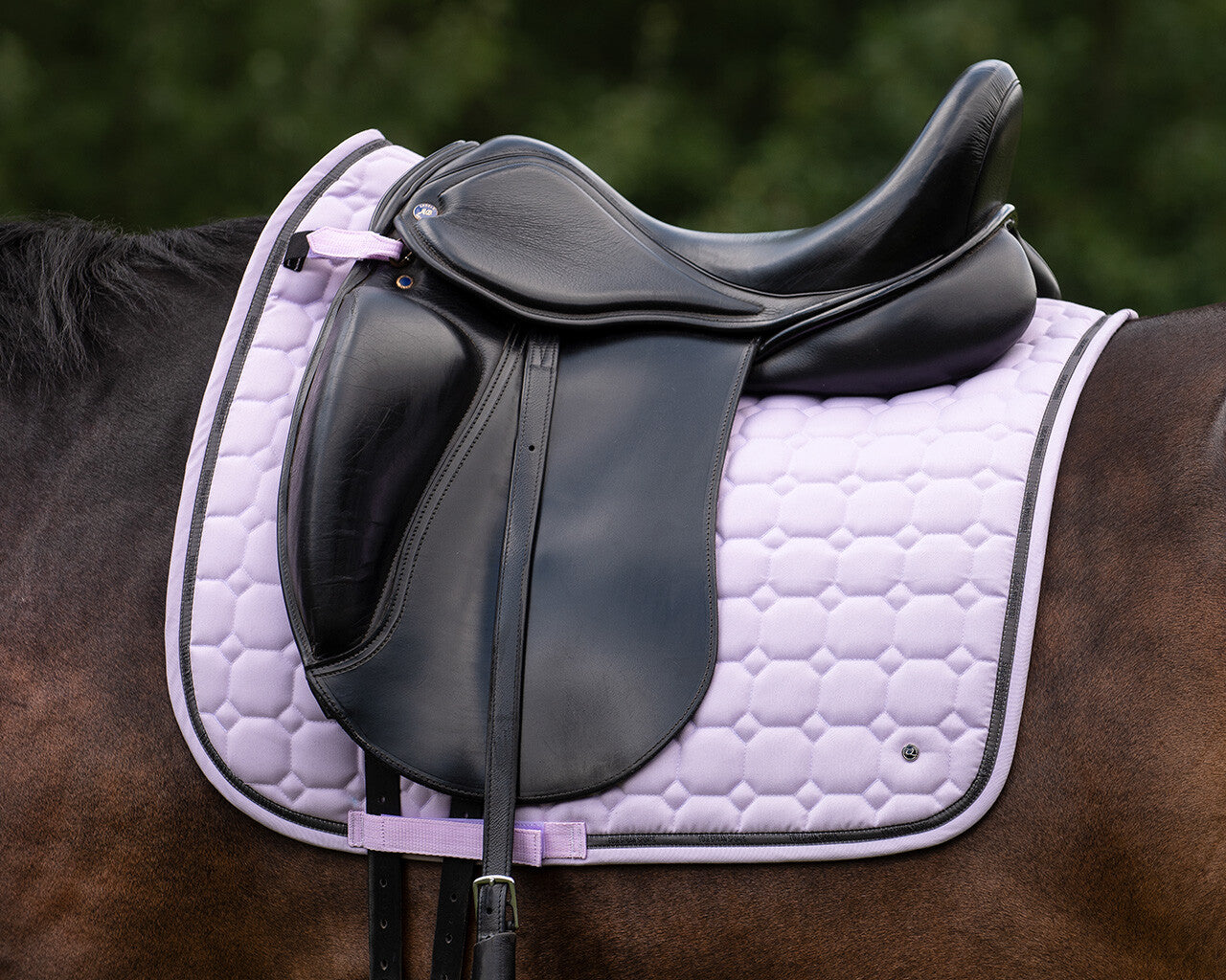 saddle pad denver