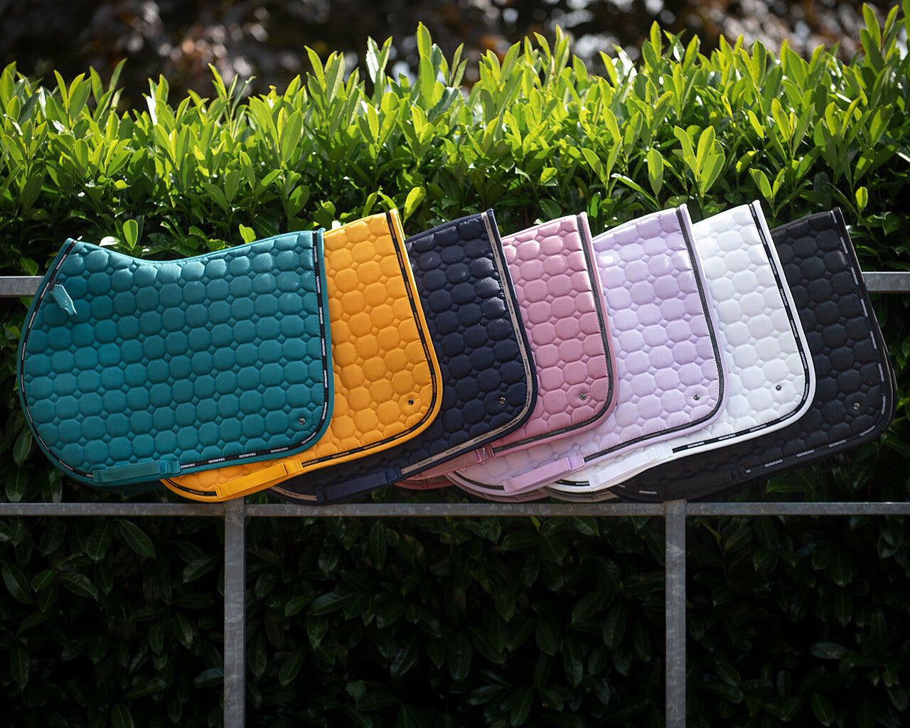 saddle pad denver