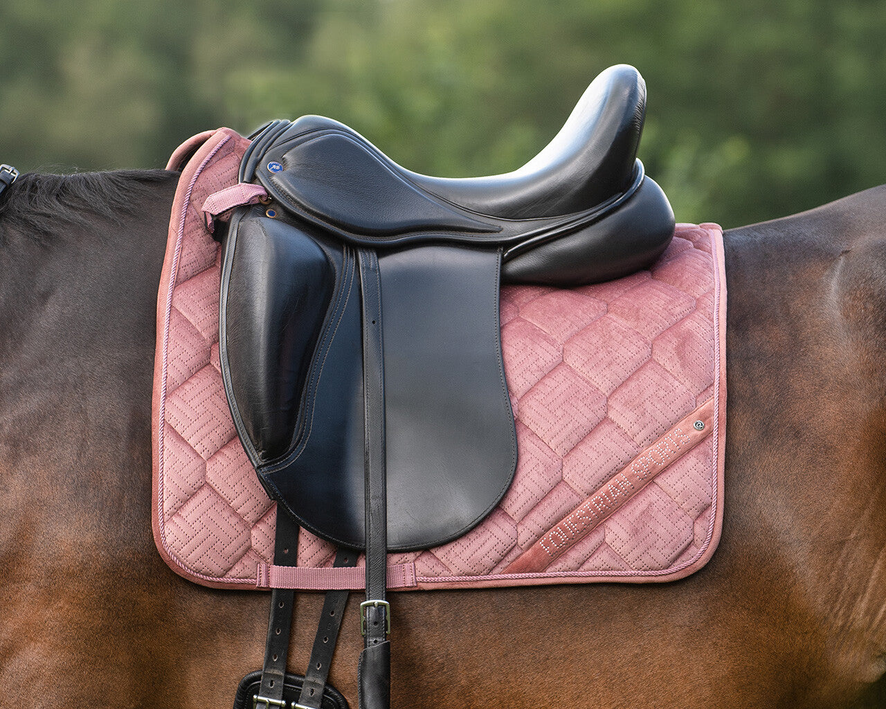 saddle pad summer glow