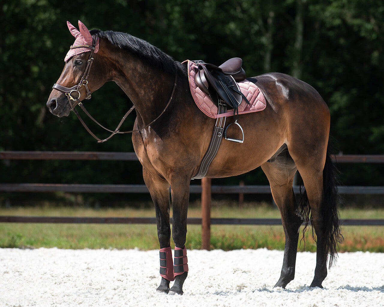 saddle pad summer glow