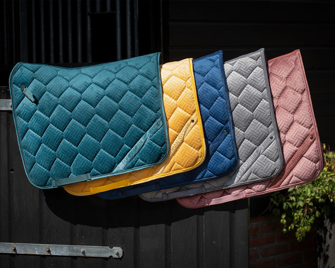 saddle pad summer glow
