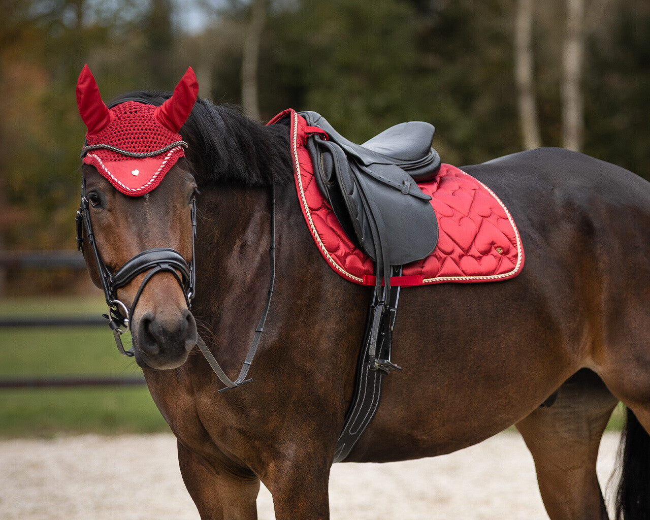 saddle pad valentine