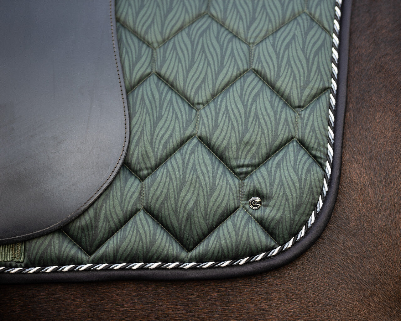 saddle pad collection