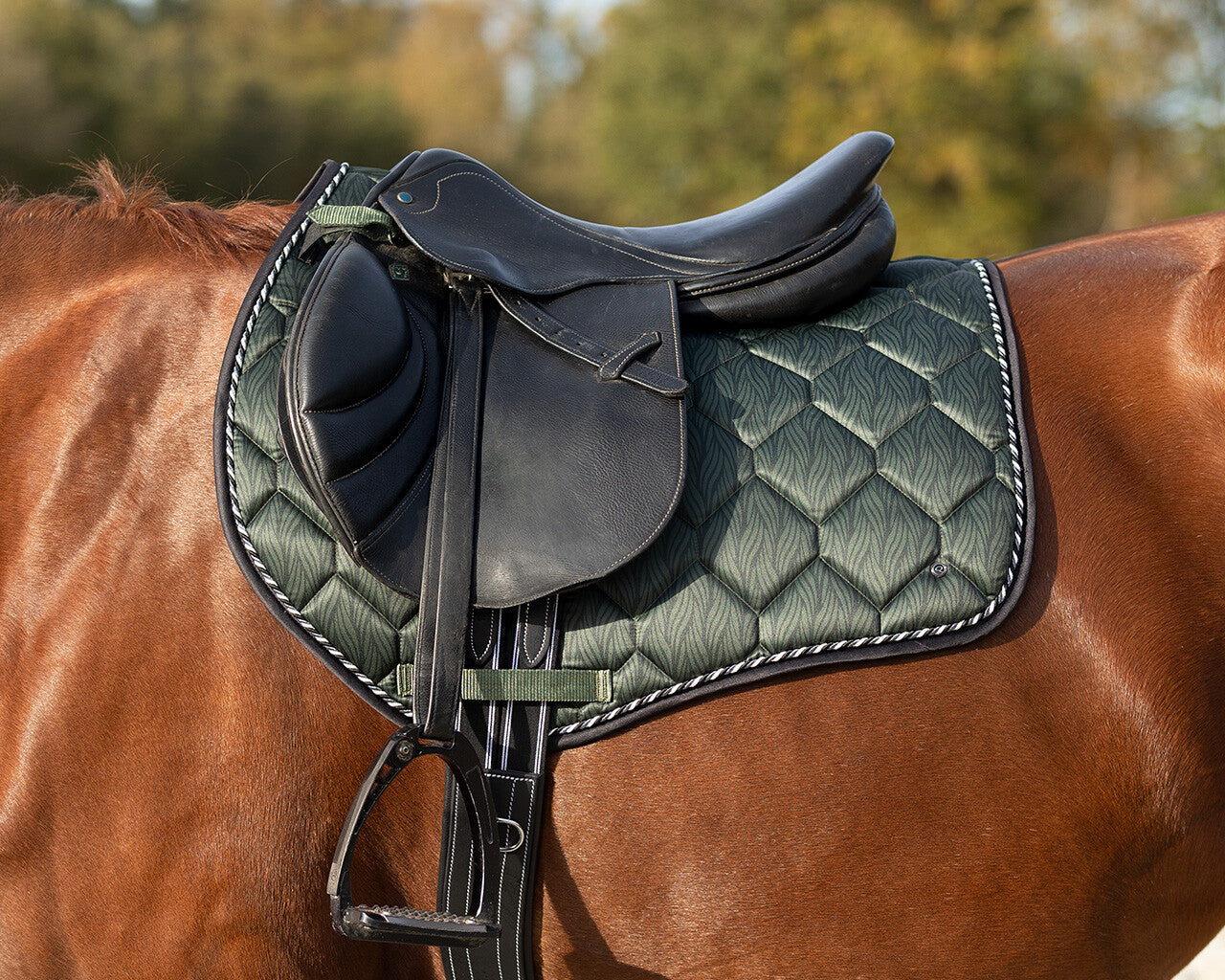 saddle pad collection