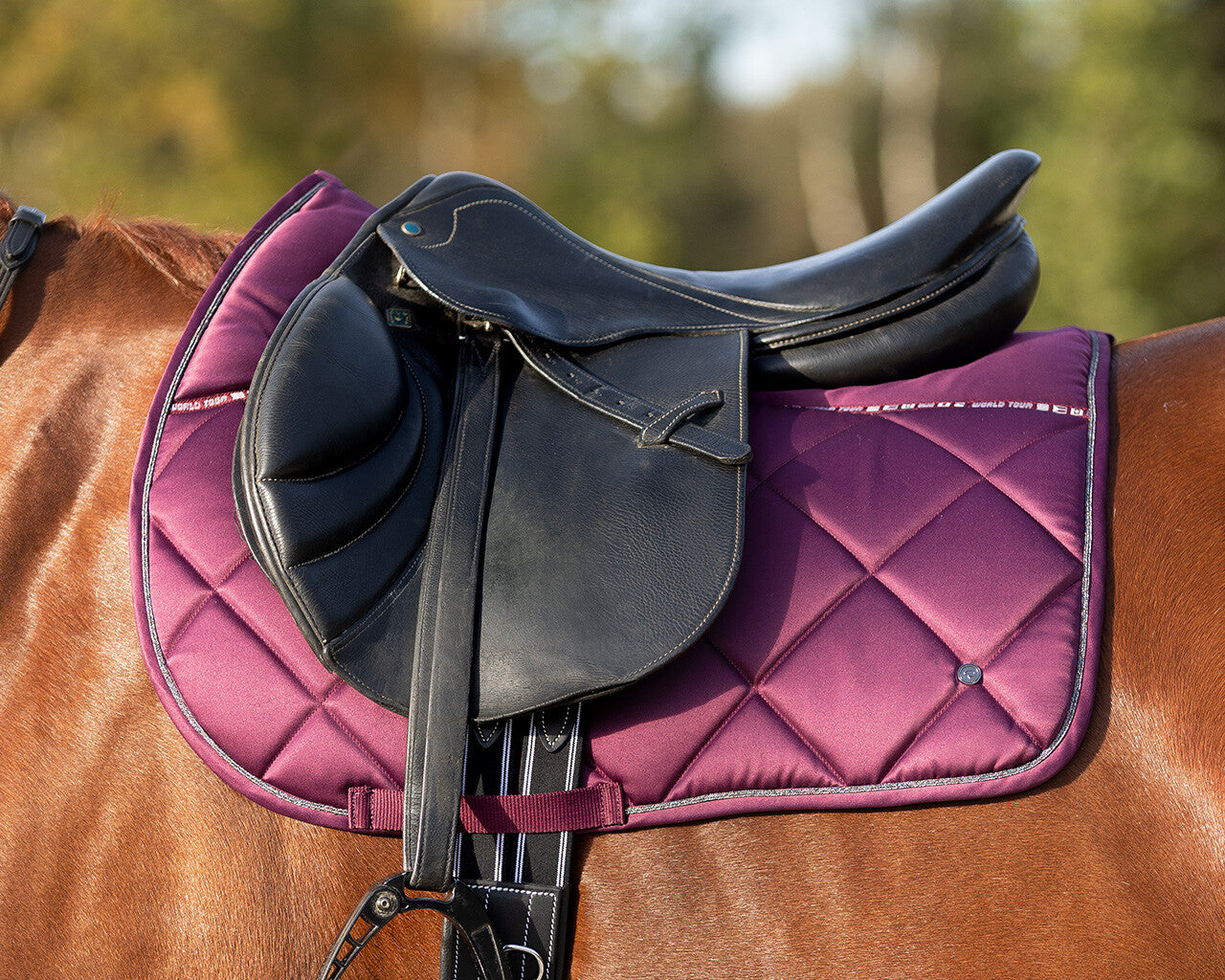 saddle pad world tour