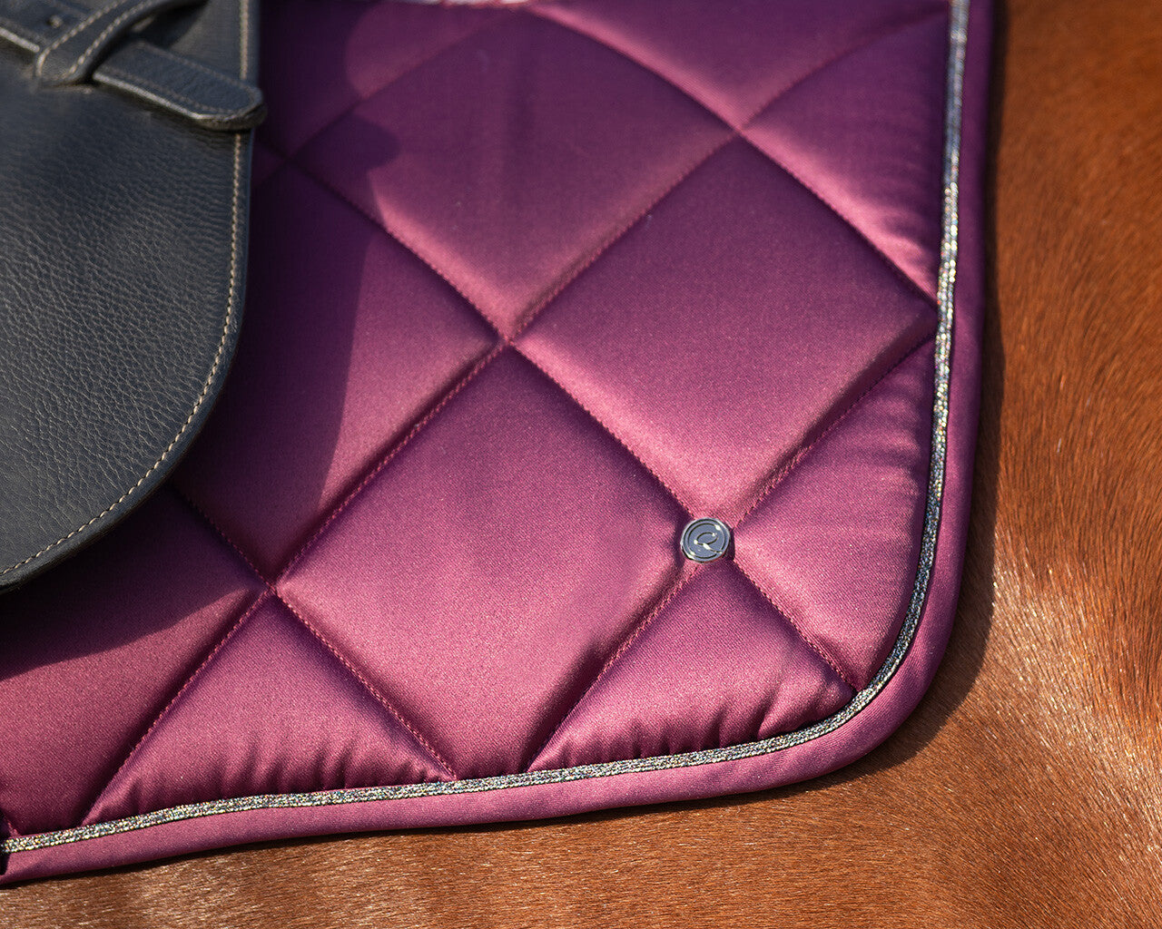 saddle pad world tour