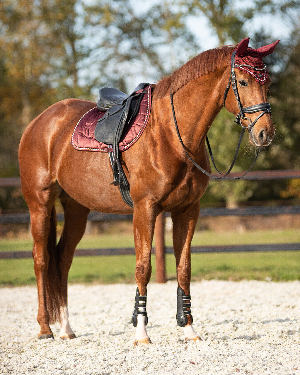 saddle pad qiara