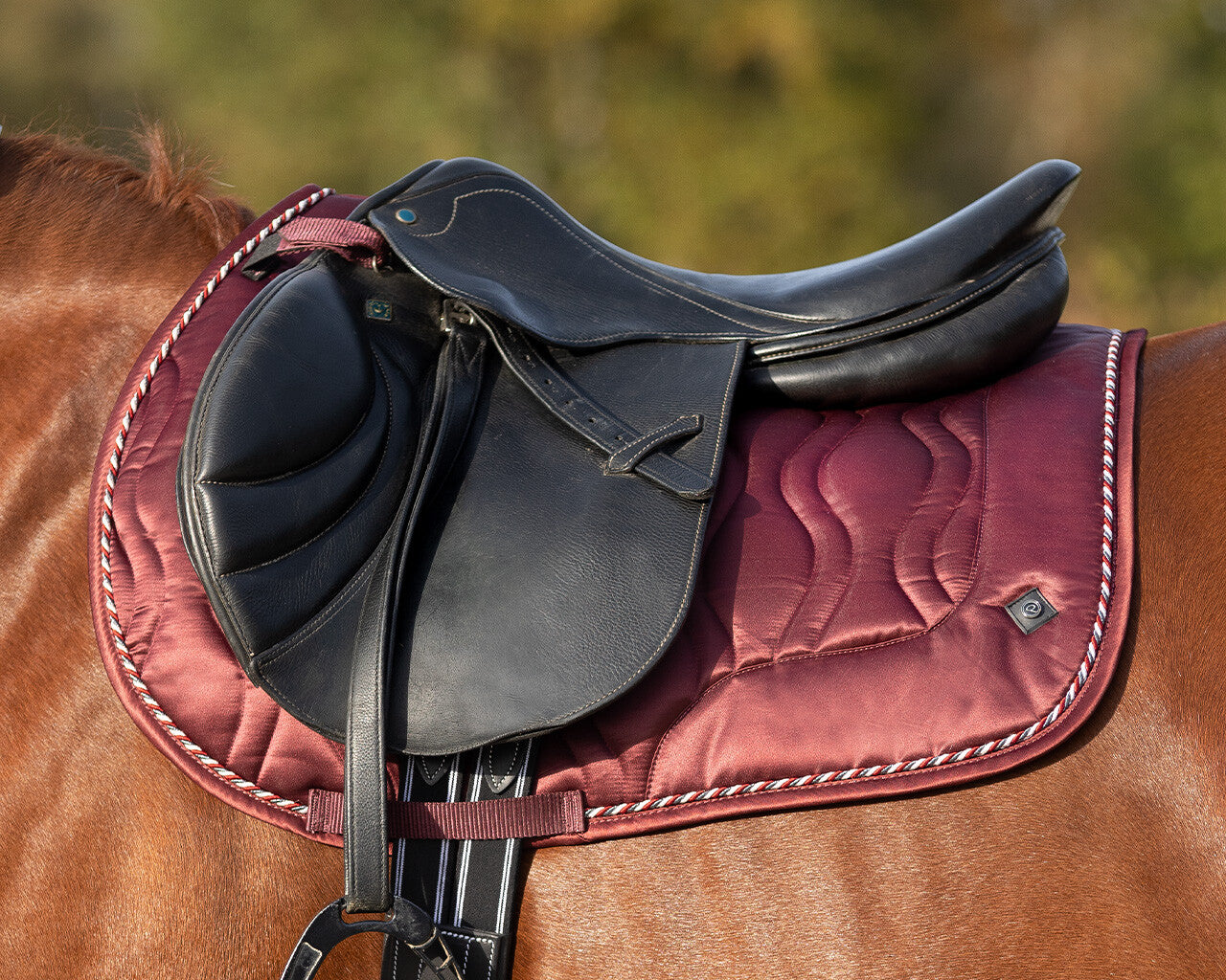 saddle pad qiara