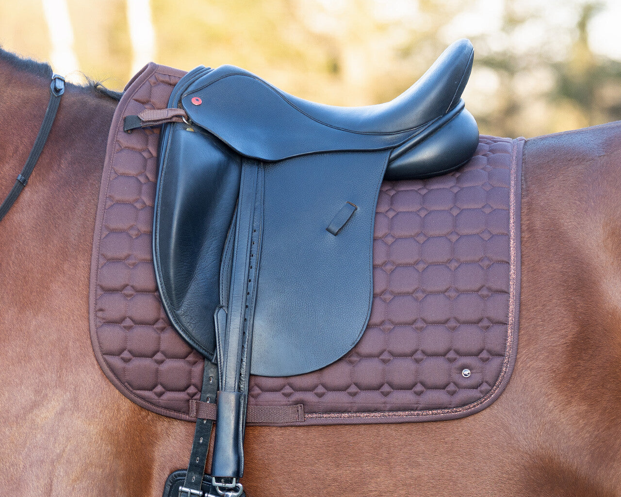 saddle pad hailyn