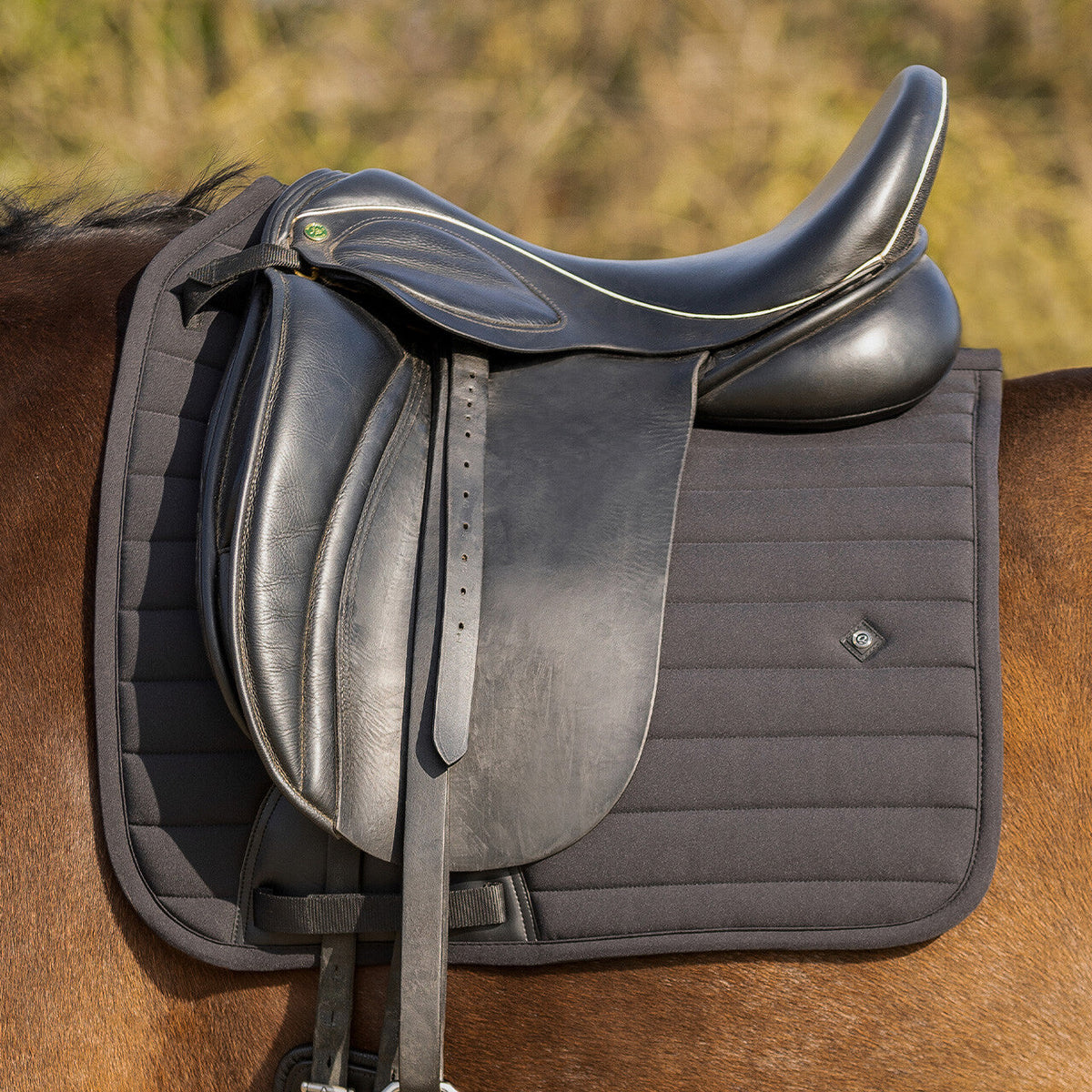 Saddle pad Salerno
