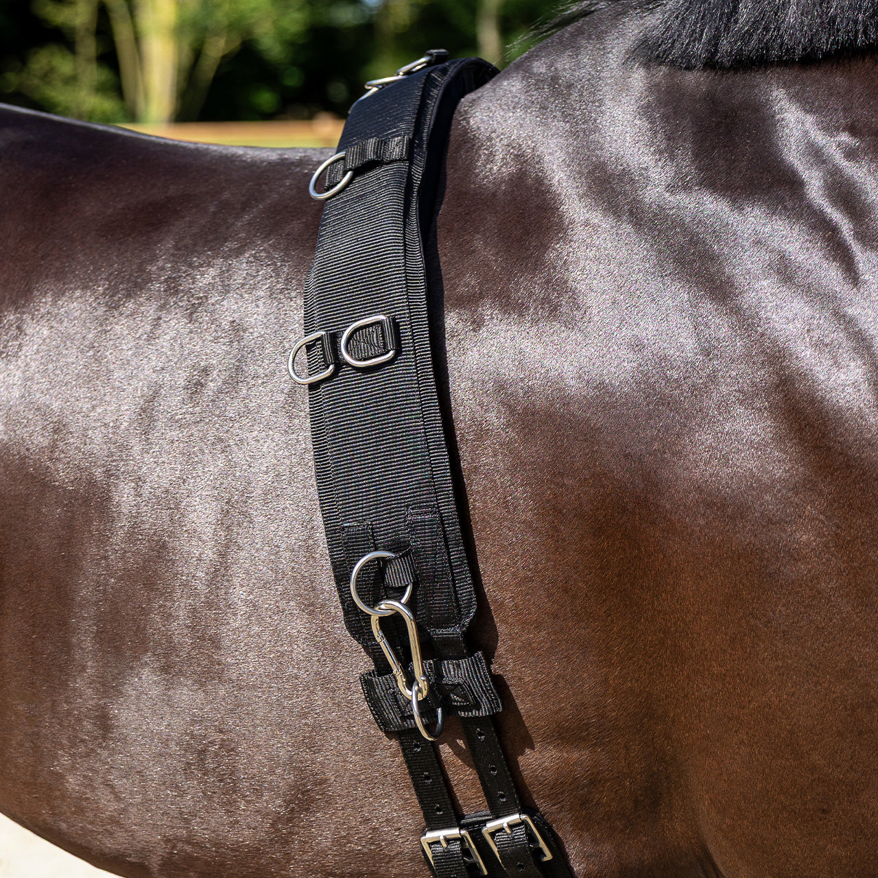 Lunging girth Padded