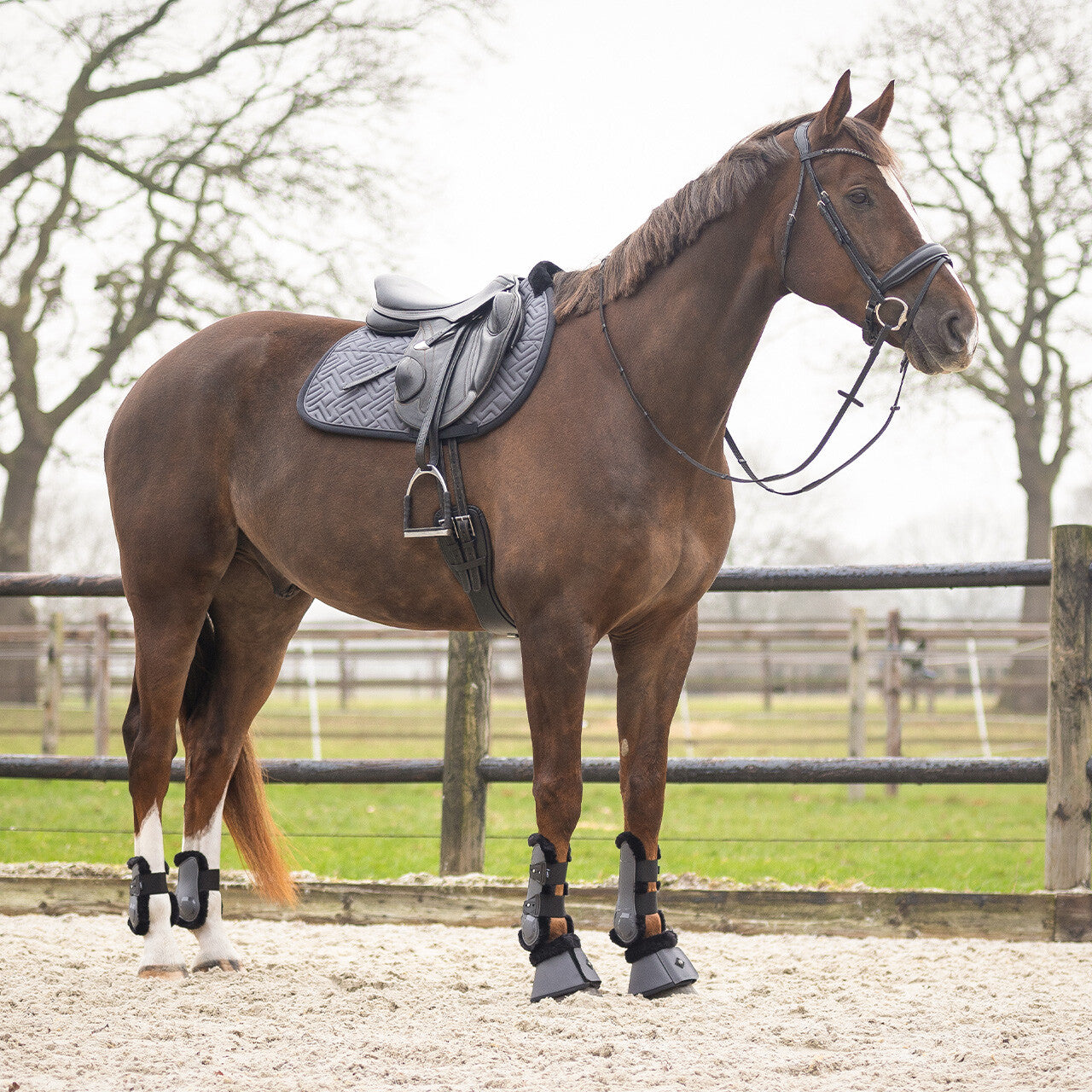 Saddle pad Sensisoft