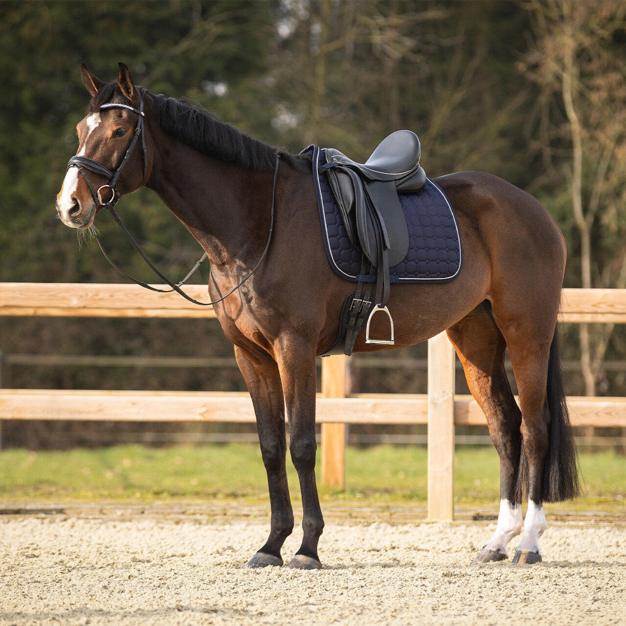 Saddle pad Firenze