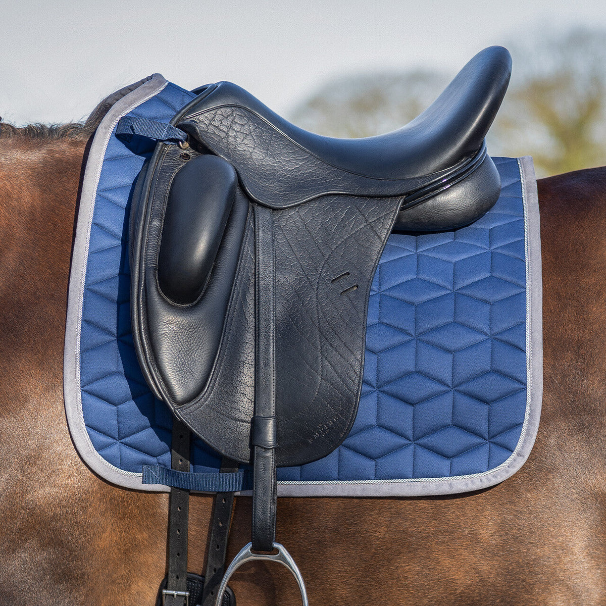 Saddle pad Avyra