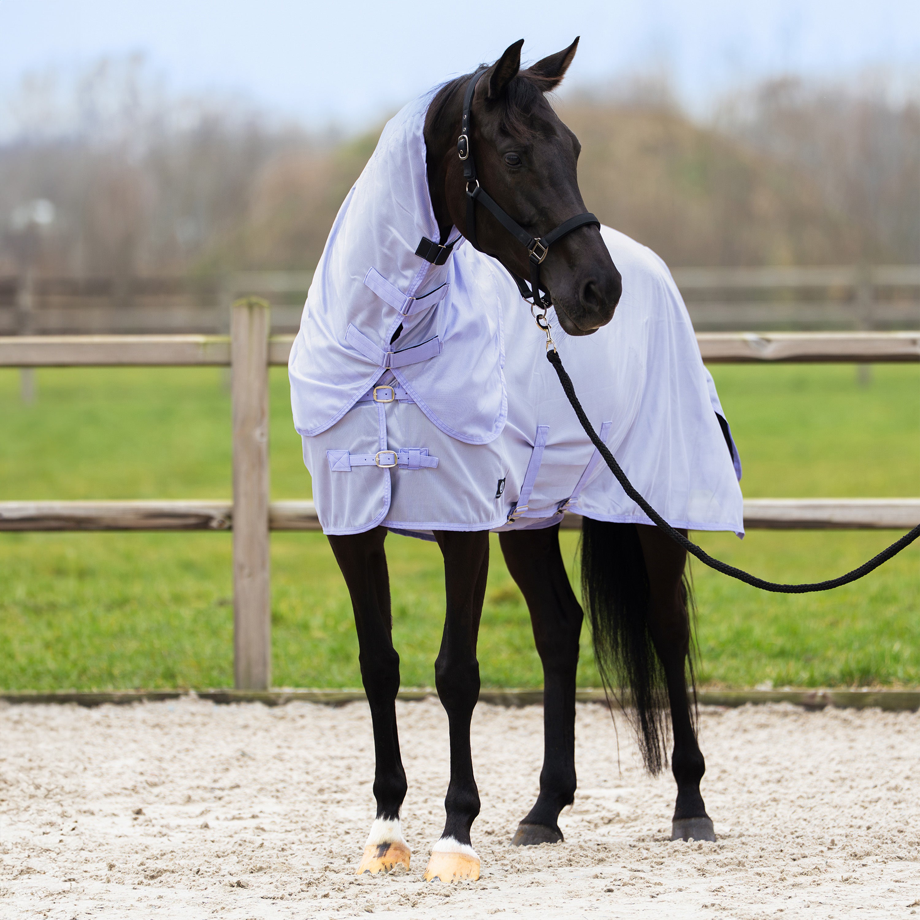 Fly blanket IRHReese