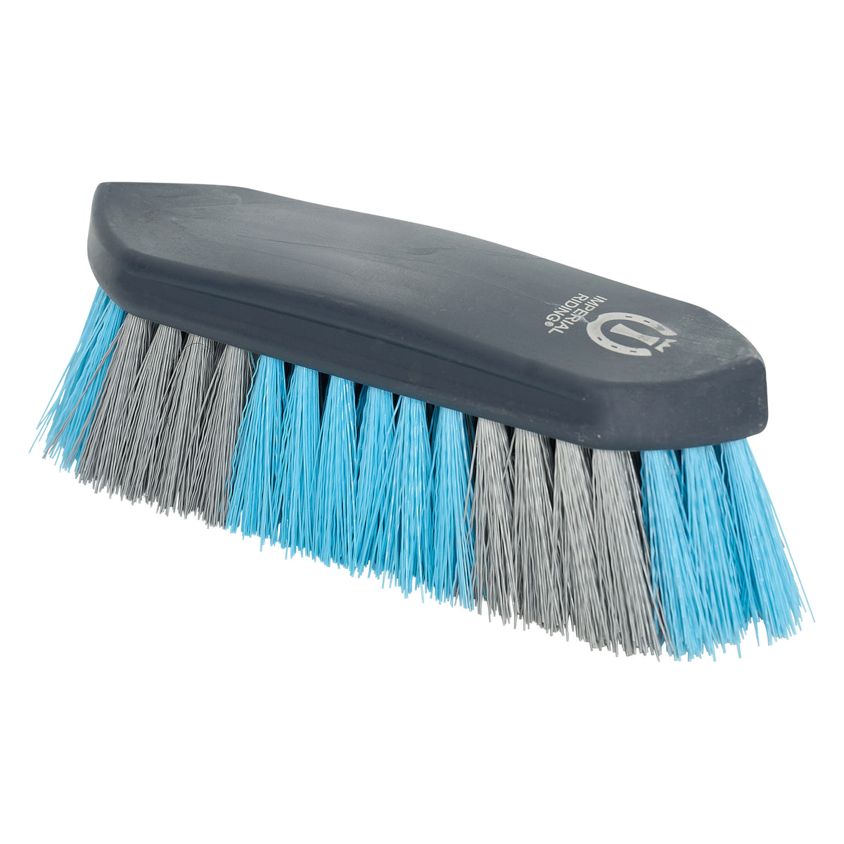 Dandy brush hard 2 colors IRH