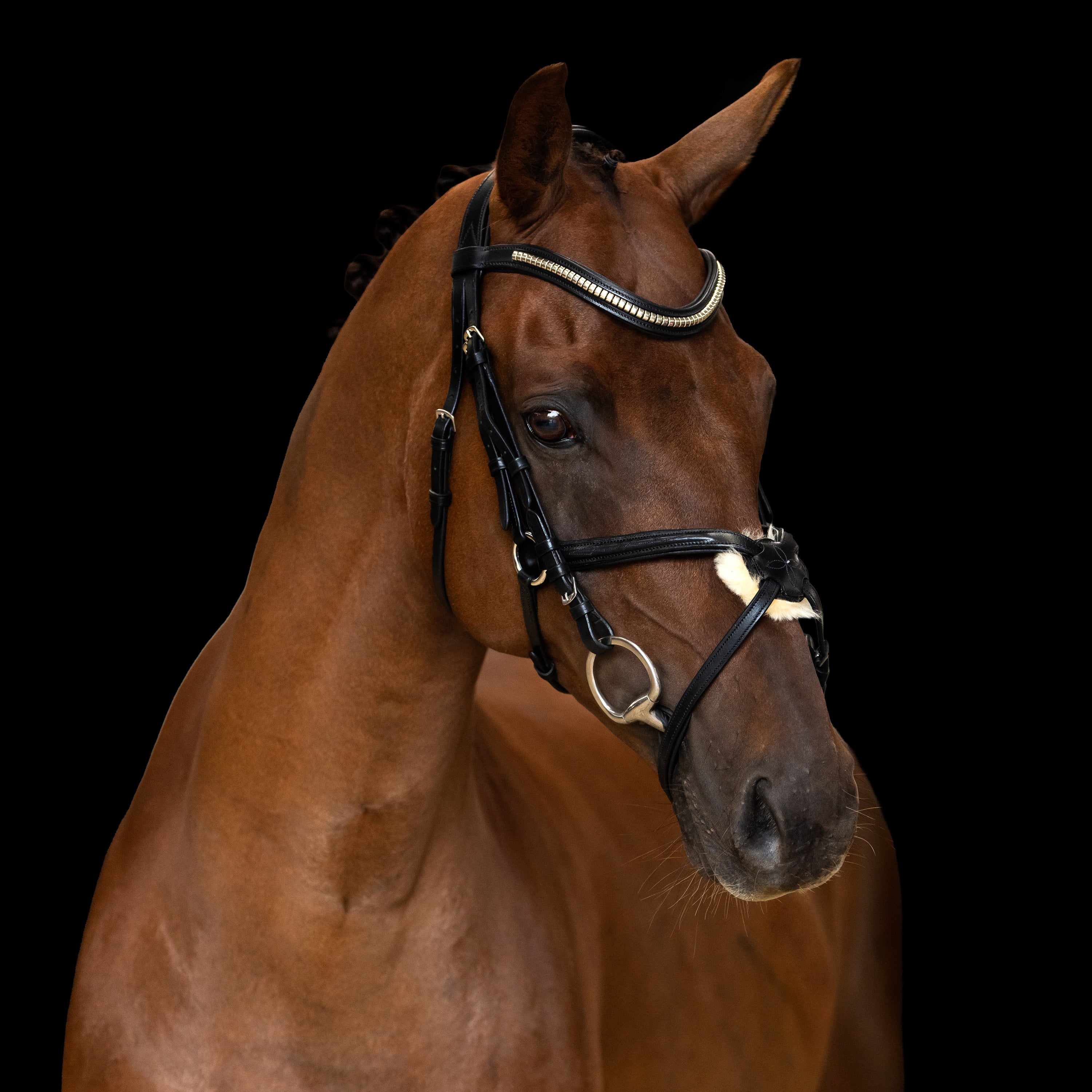 Bridle Mexican IRH