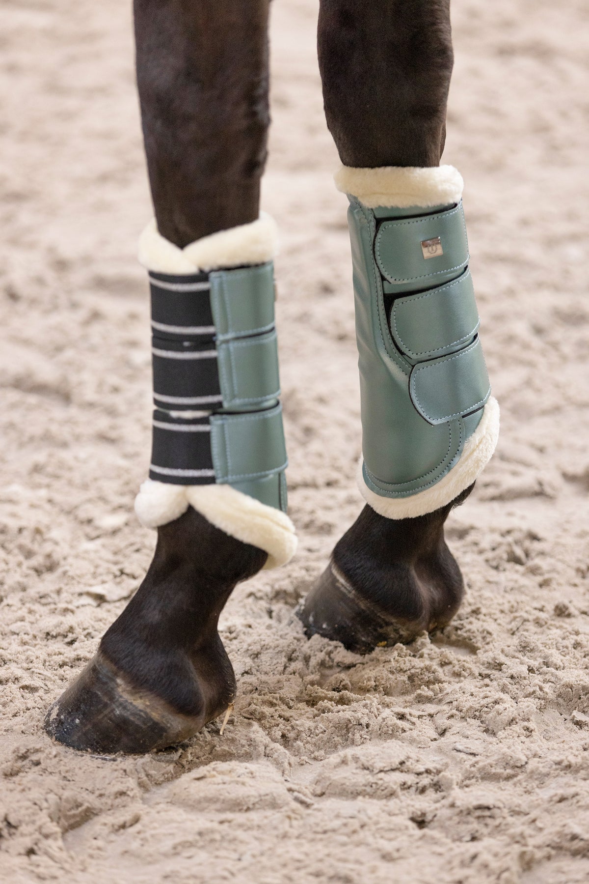 Brushing boots IRHLovely