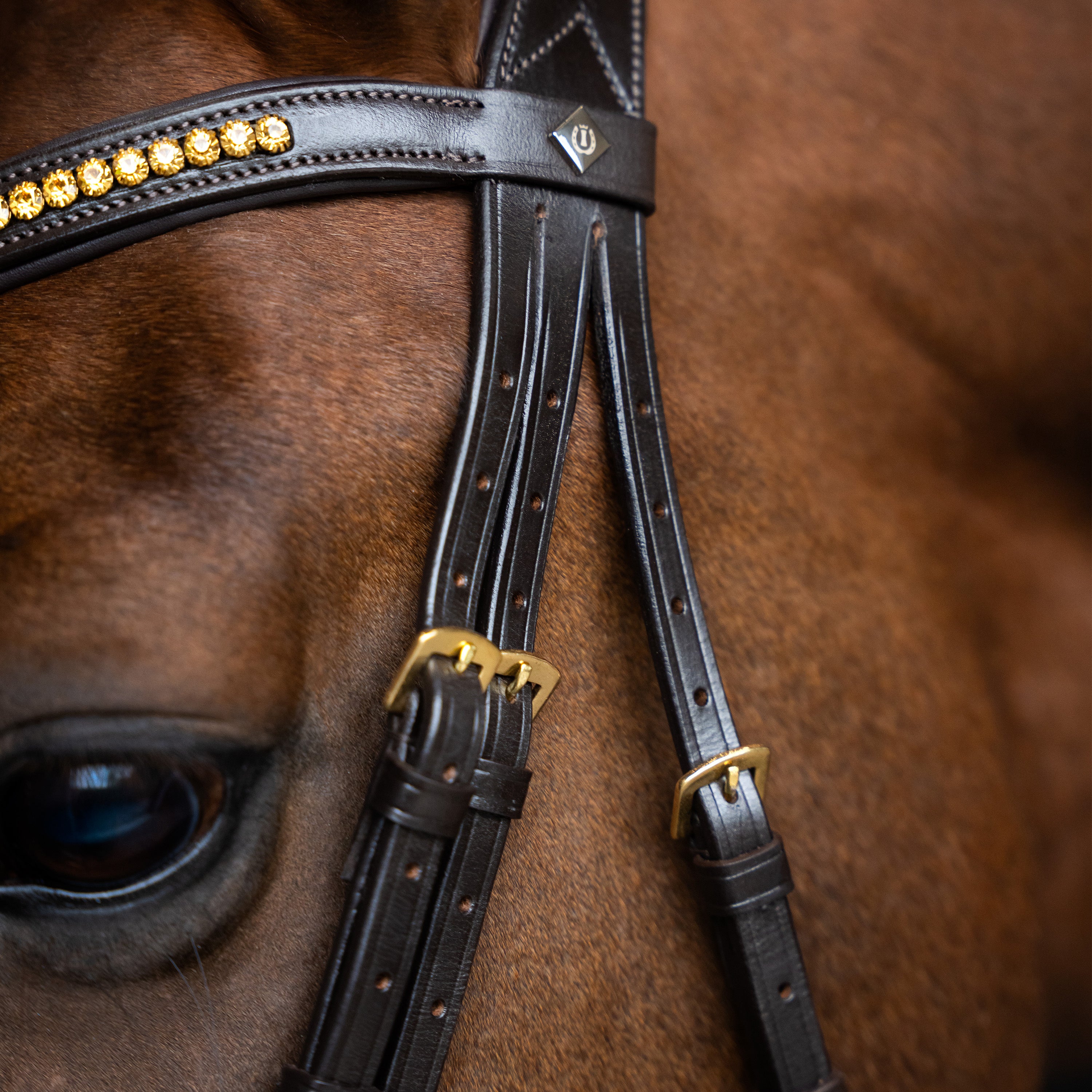 Bridle IRH combined noseband simple