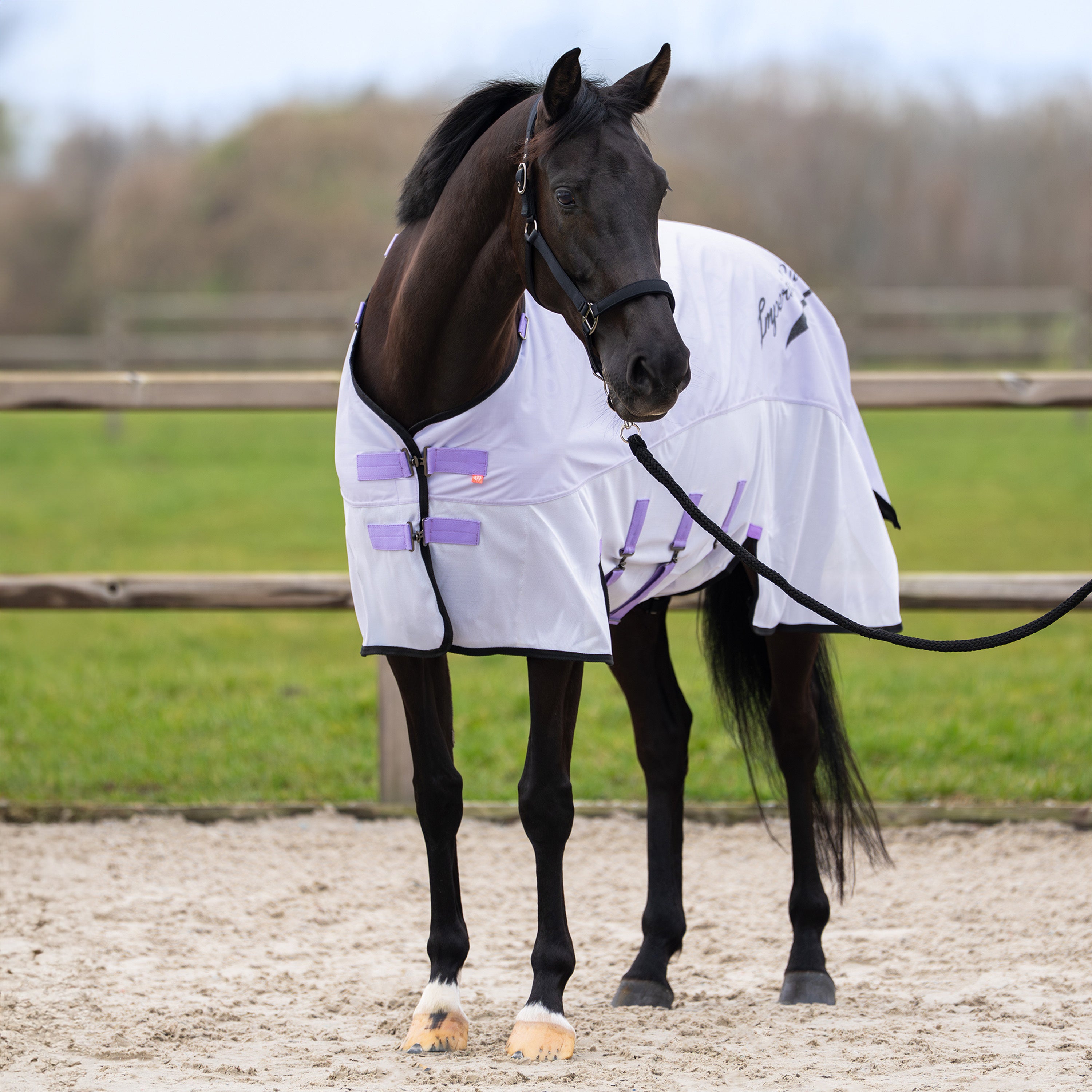 Rain & Fly blanket IRHSuper-dry