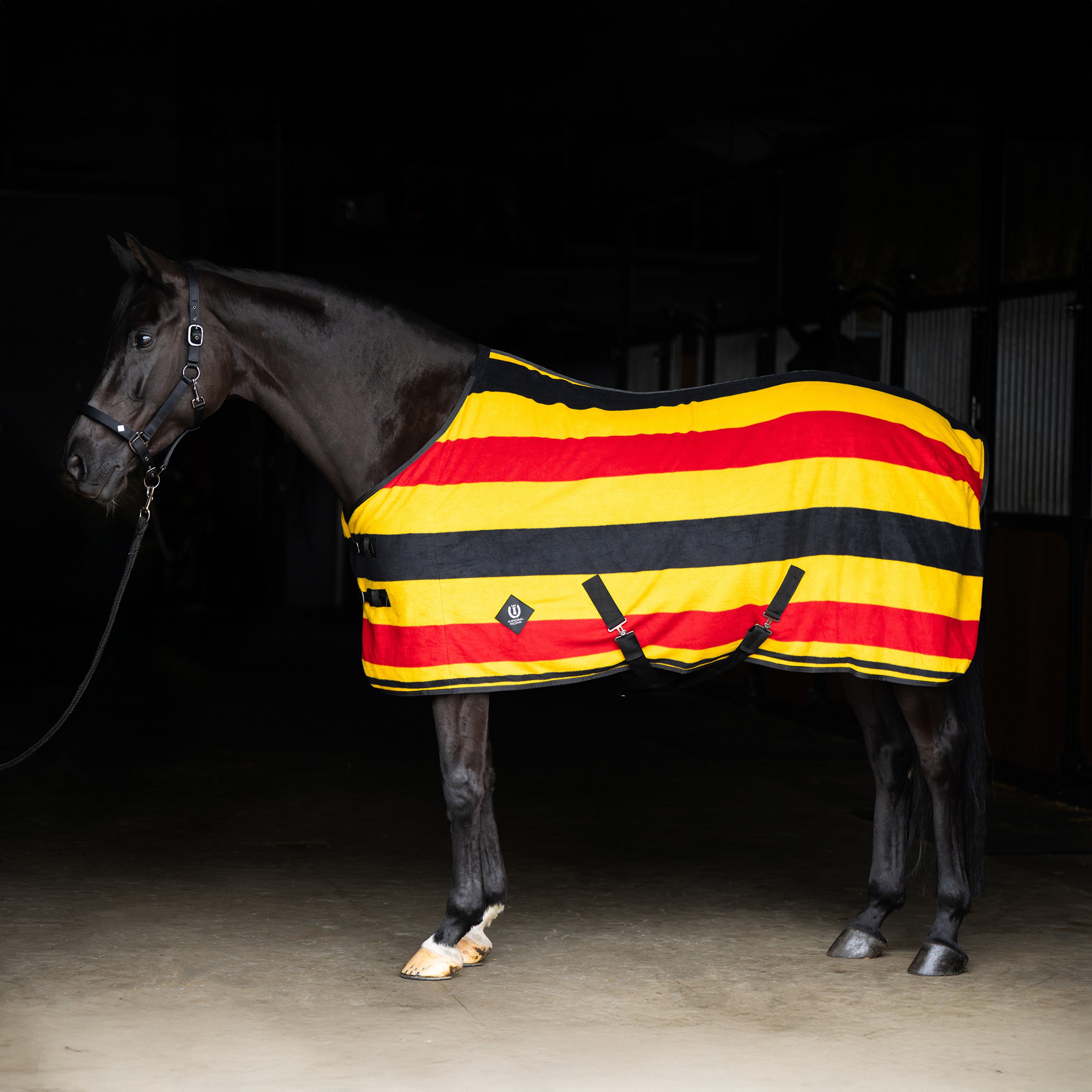 Fleece blanket IRHStripe