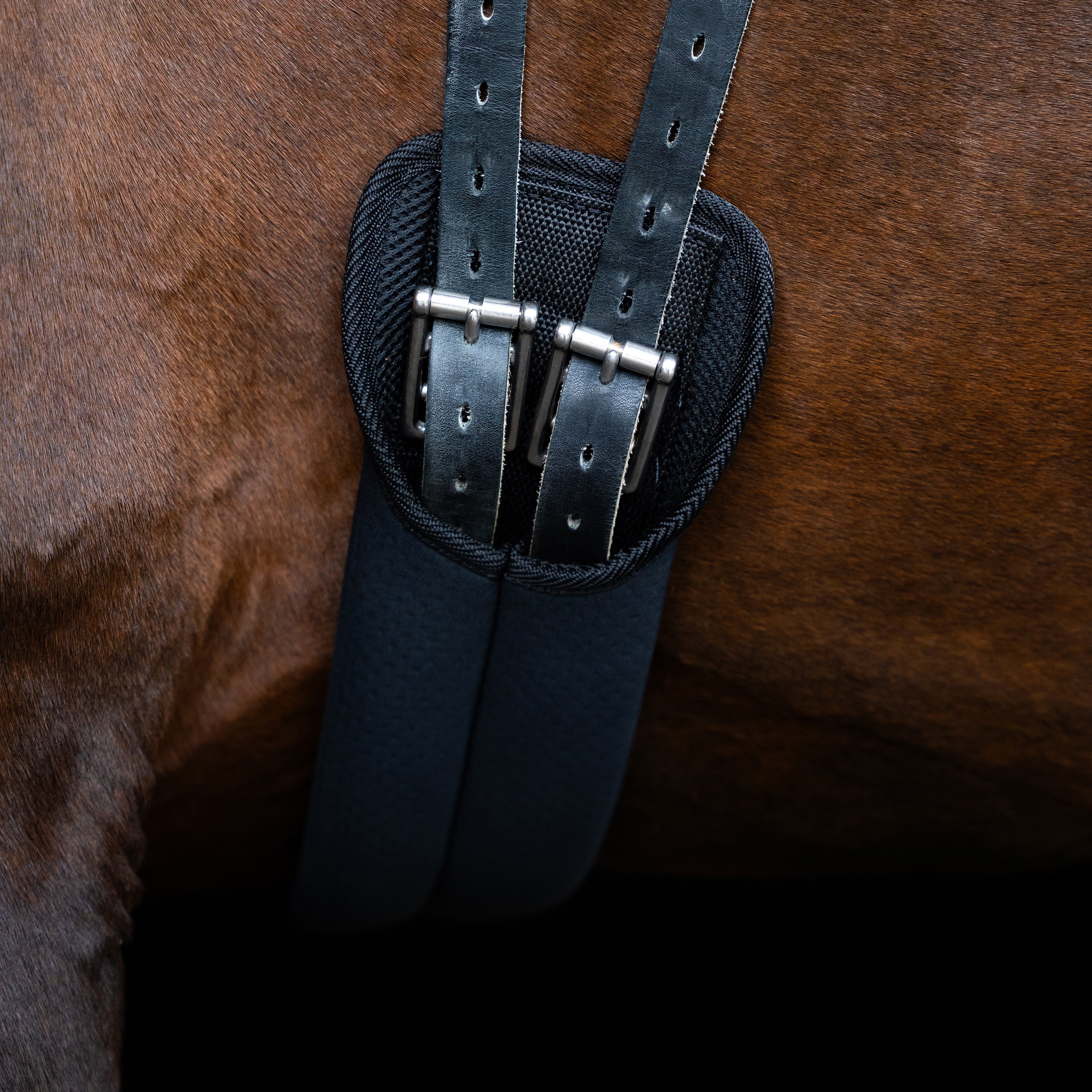 Dressage girth IRH neoprene