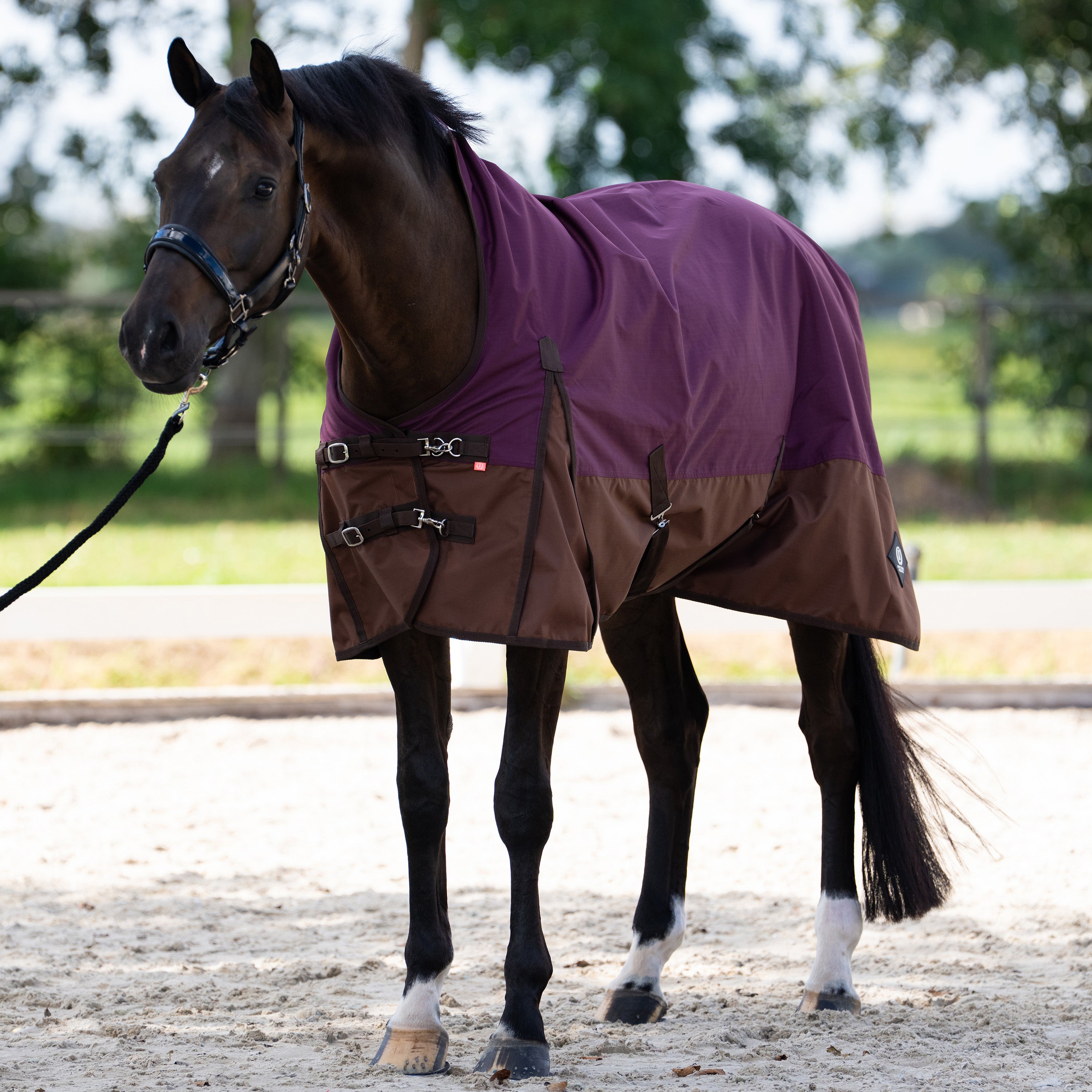 Outdoor blanket IRHCustomized with high neck 300gr