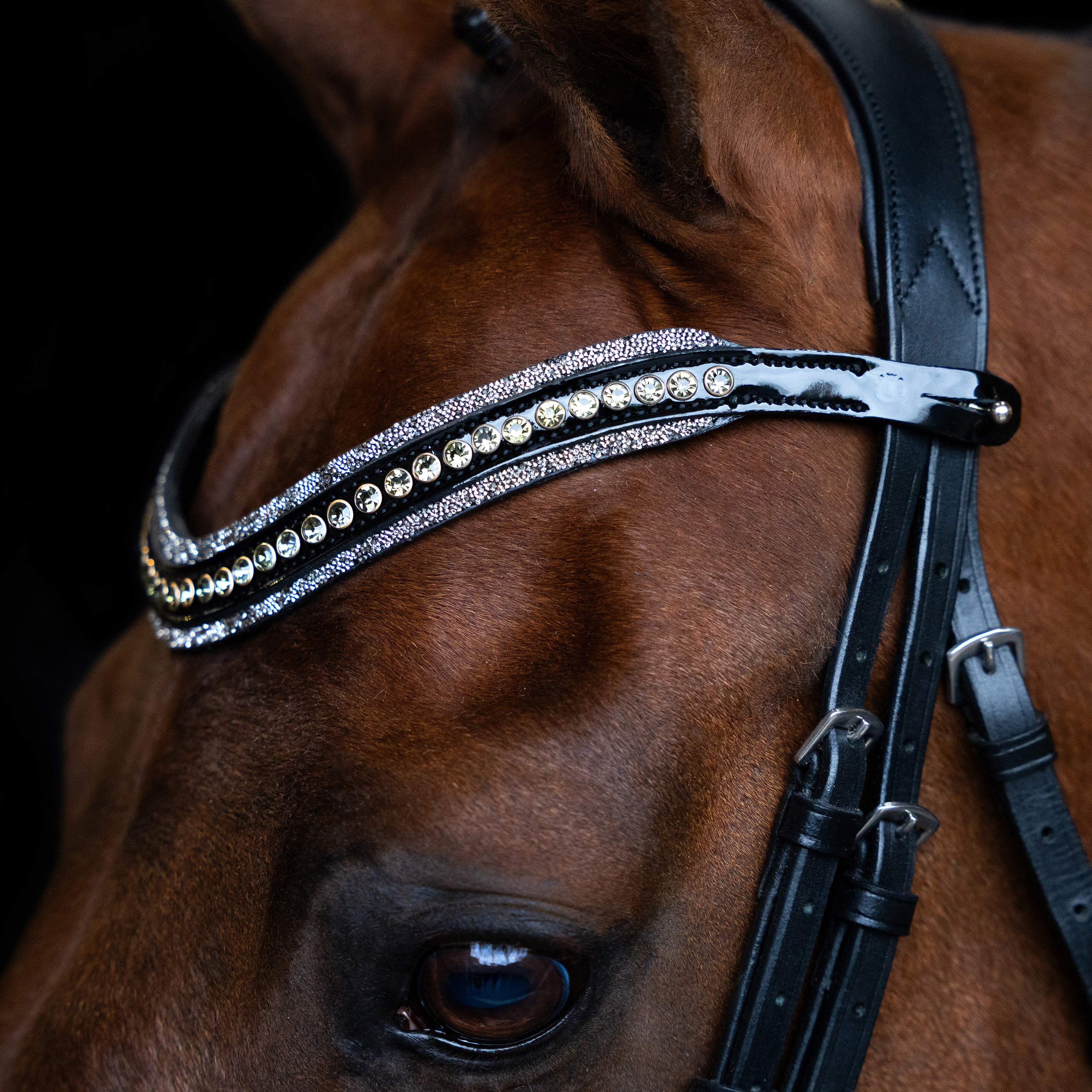 Browband IRHMaxima