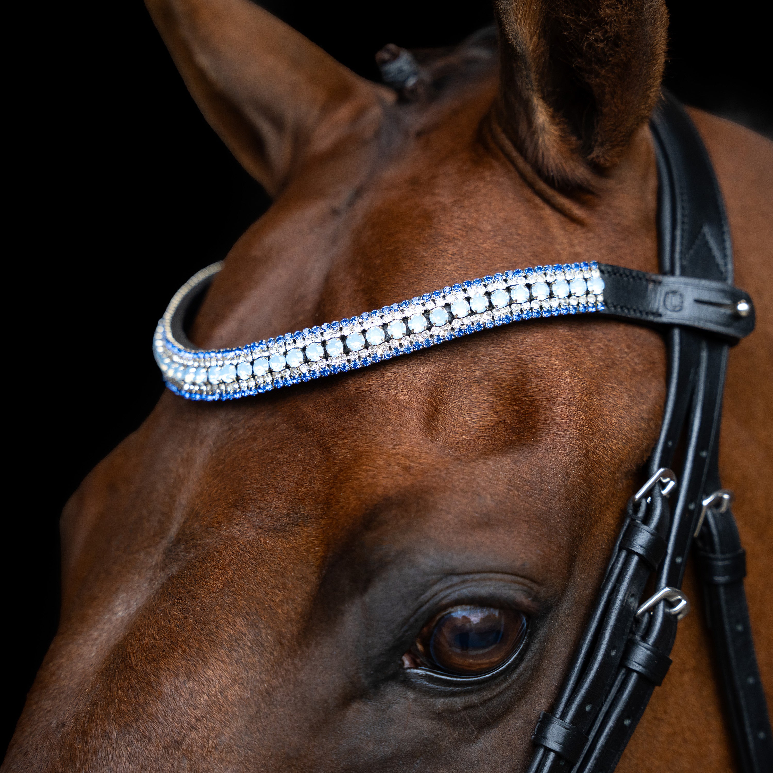 Browband IRHMaxima