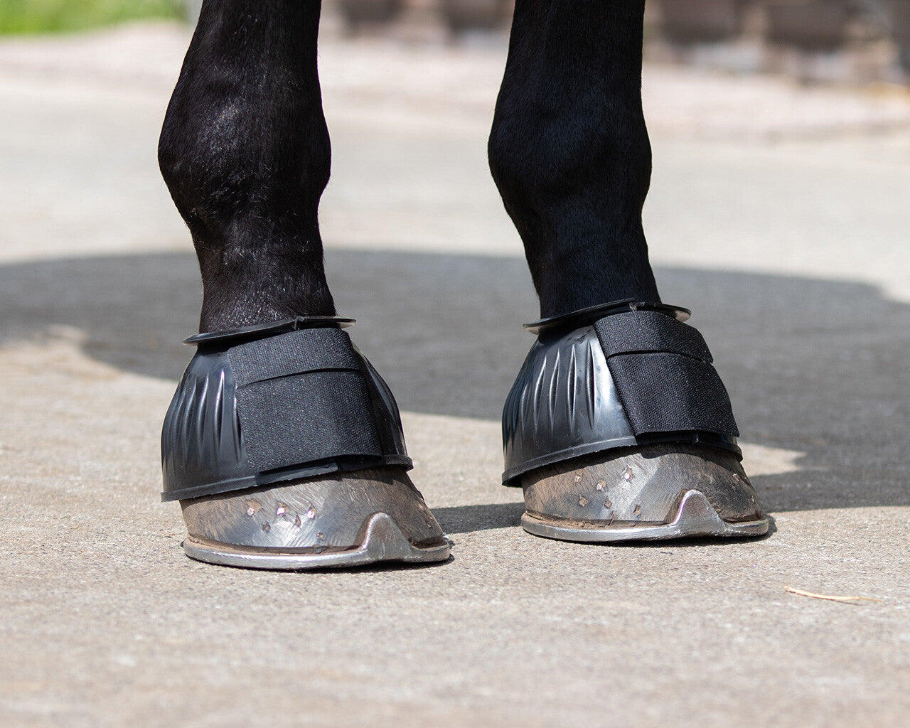 bell boots