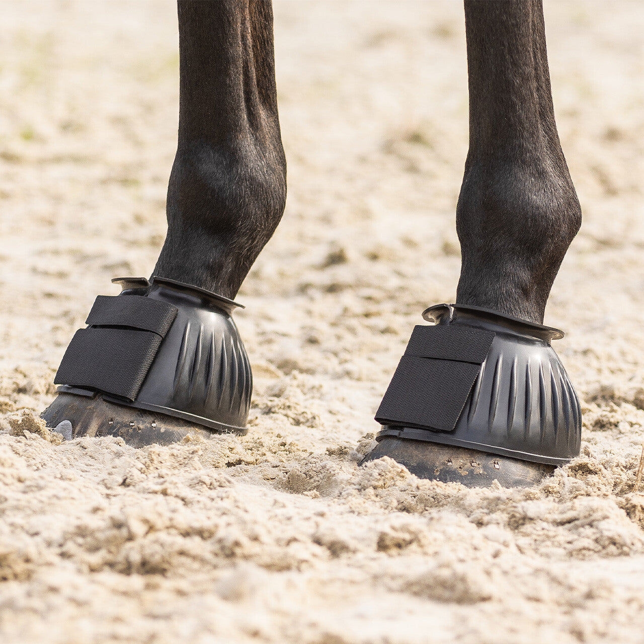 Bell Boots