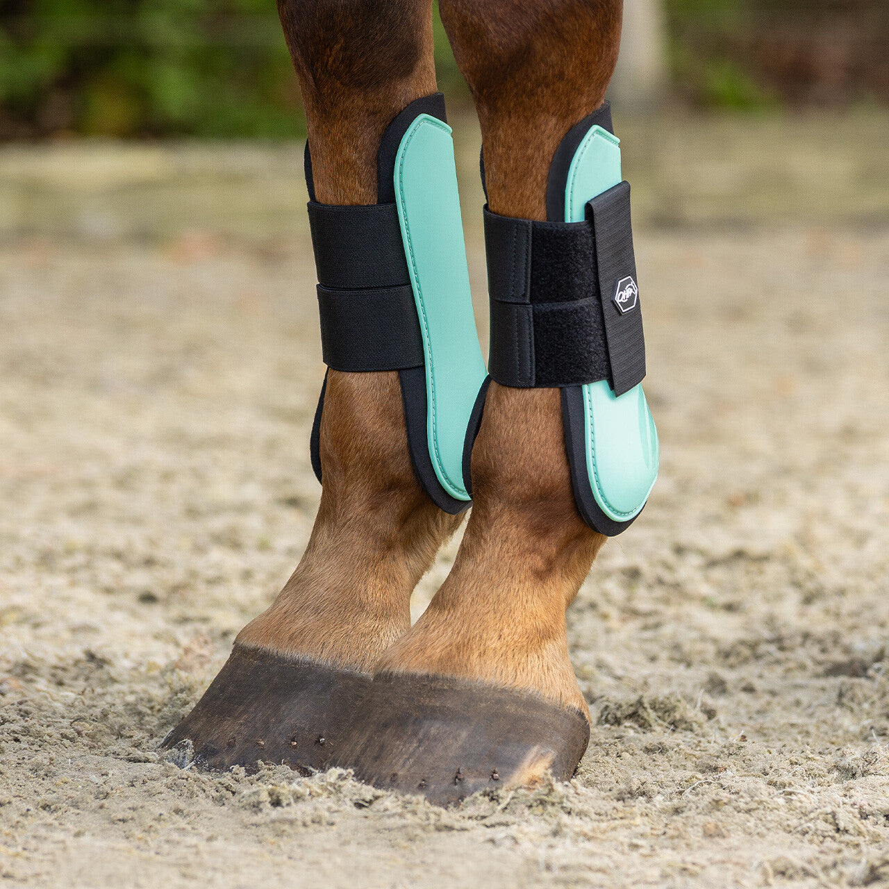 Tendon boots