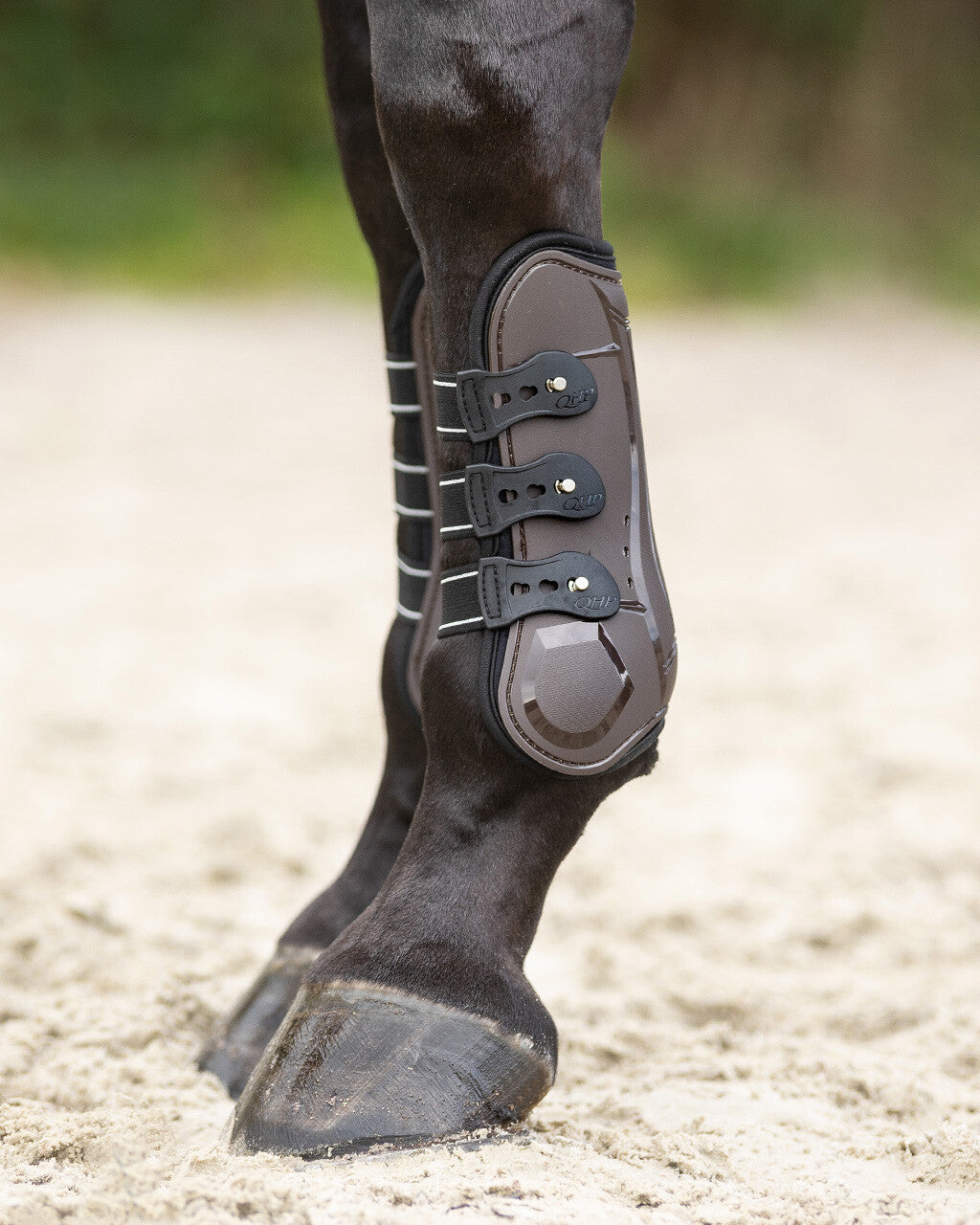 Tendon boots Champion