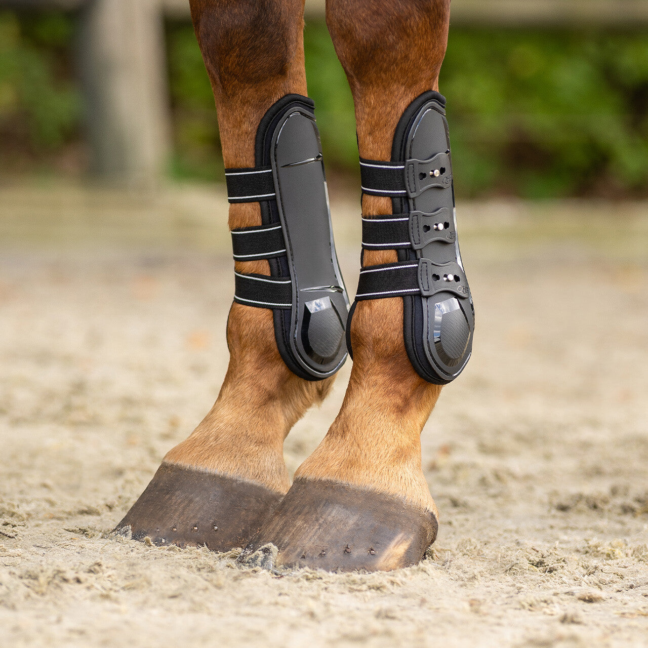Tendon boots Champion