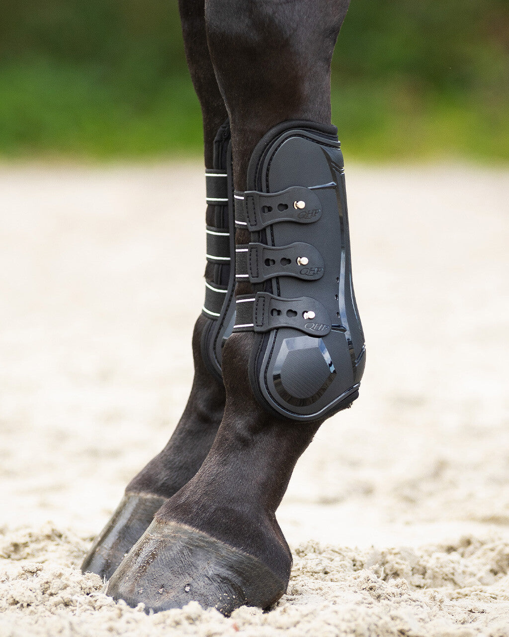 Tendon boots Champion