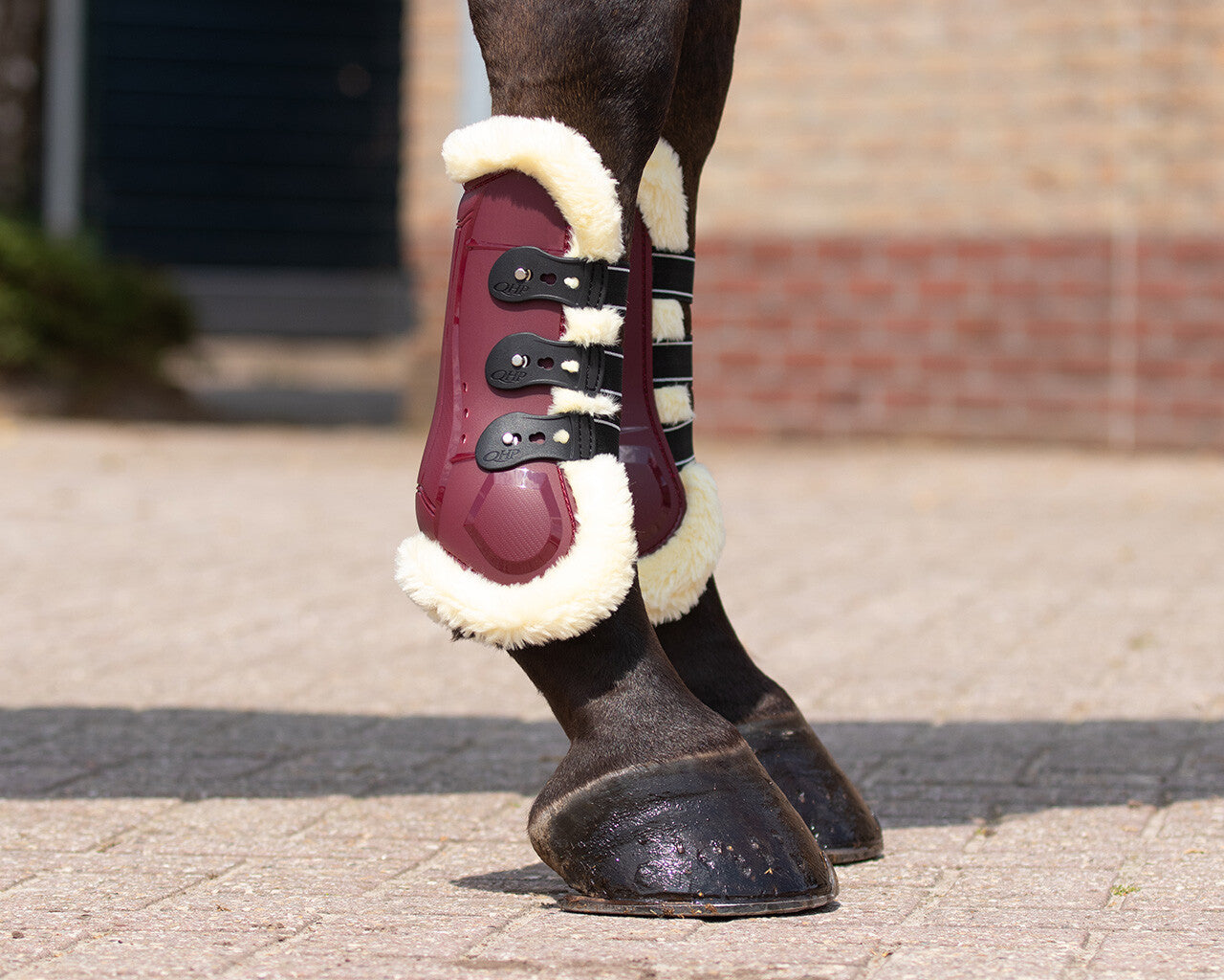 tendon boots ontario