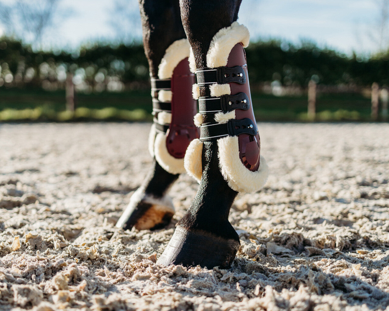 tendon boots ontario