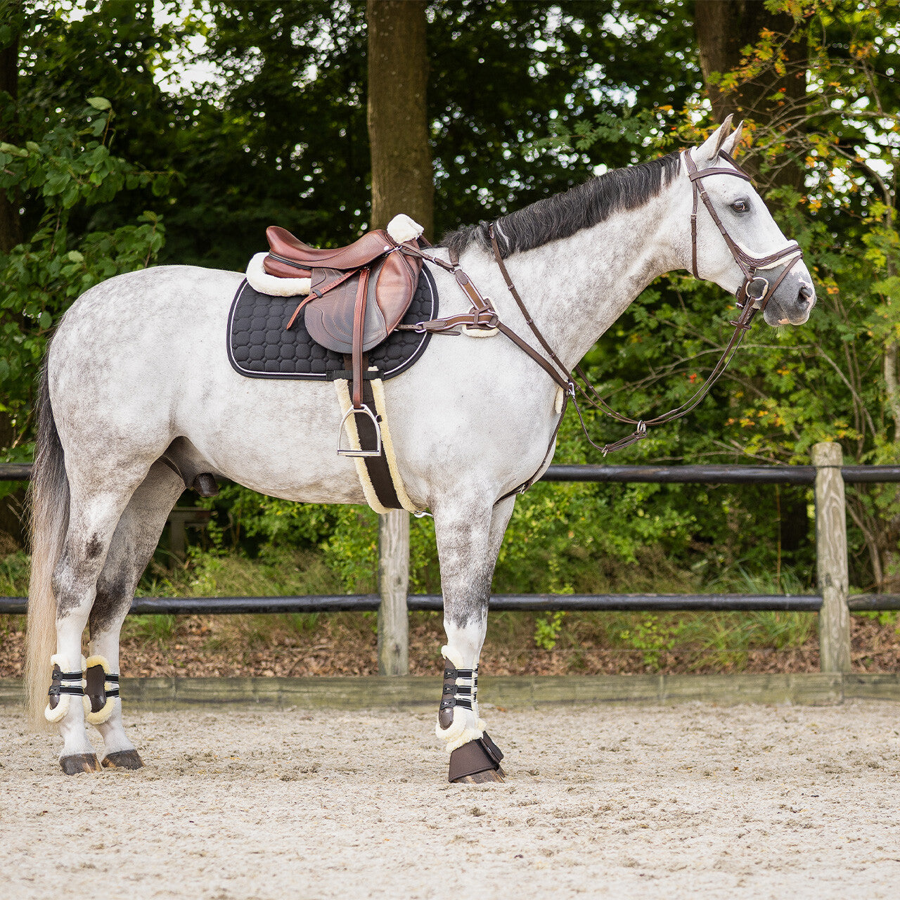 Tendon boots Ontario