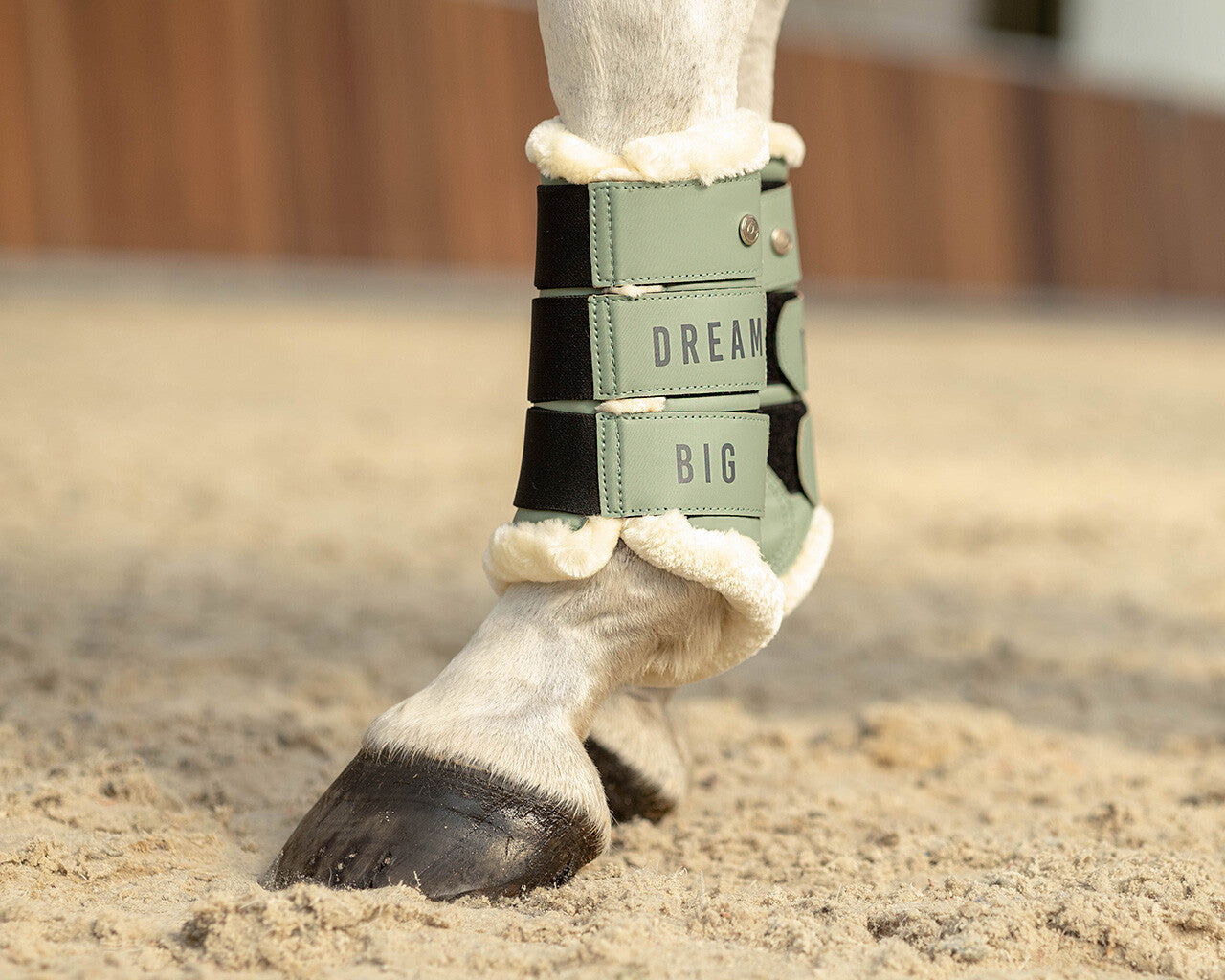 leg protection equestrian dream