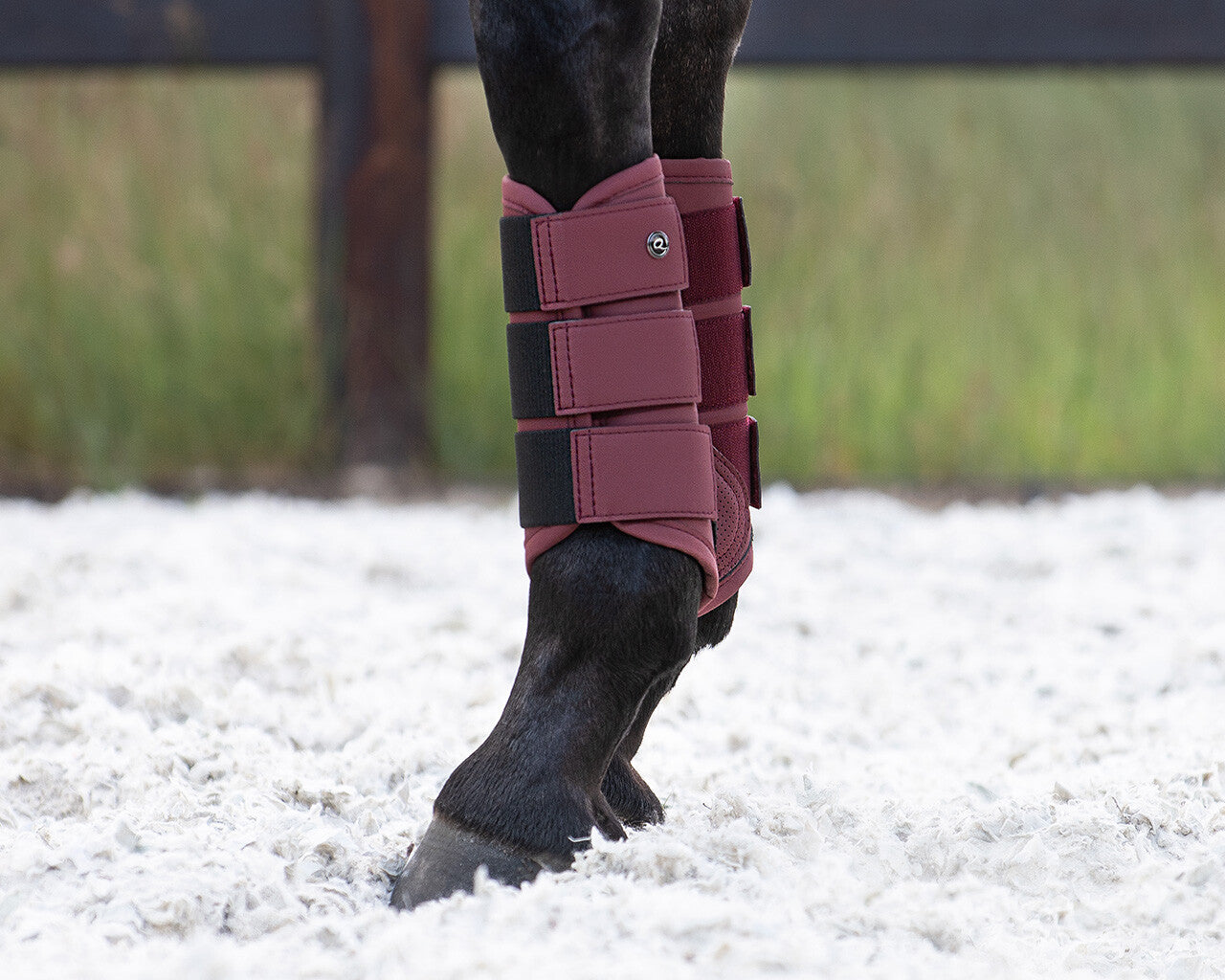 leg protection summer glow