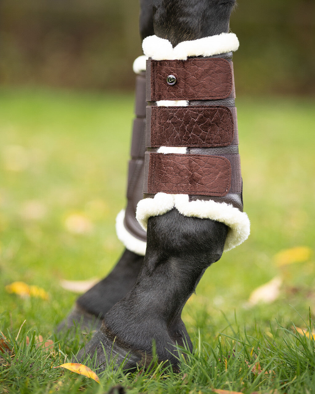 leg protection julin